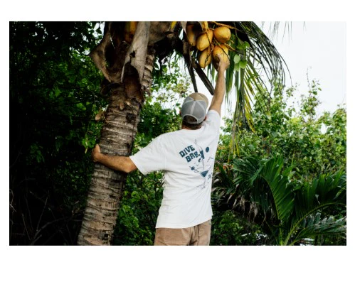 Jetty Mens Shirt Dive Bar