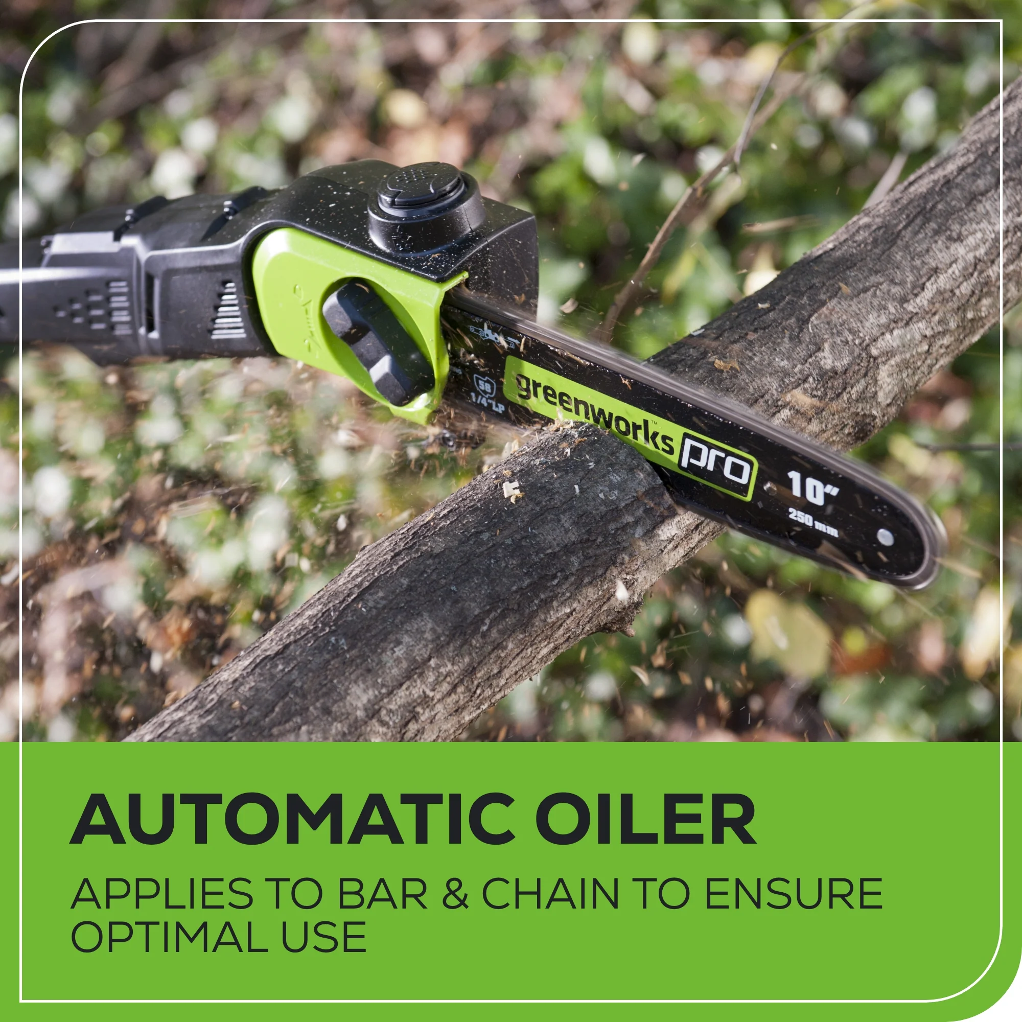 80V Cordless 10 Brushless Pole Saw w/ 2.0Ah Battery & Rapid Charger