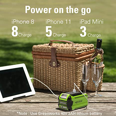 40V 12 Cordless Battery Chainsaw w/ 2.0 Ah Battery & Charger