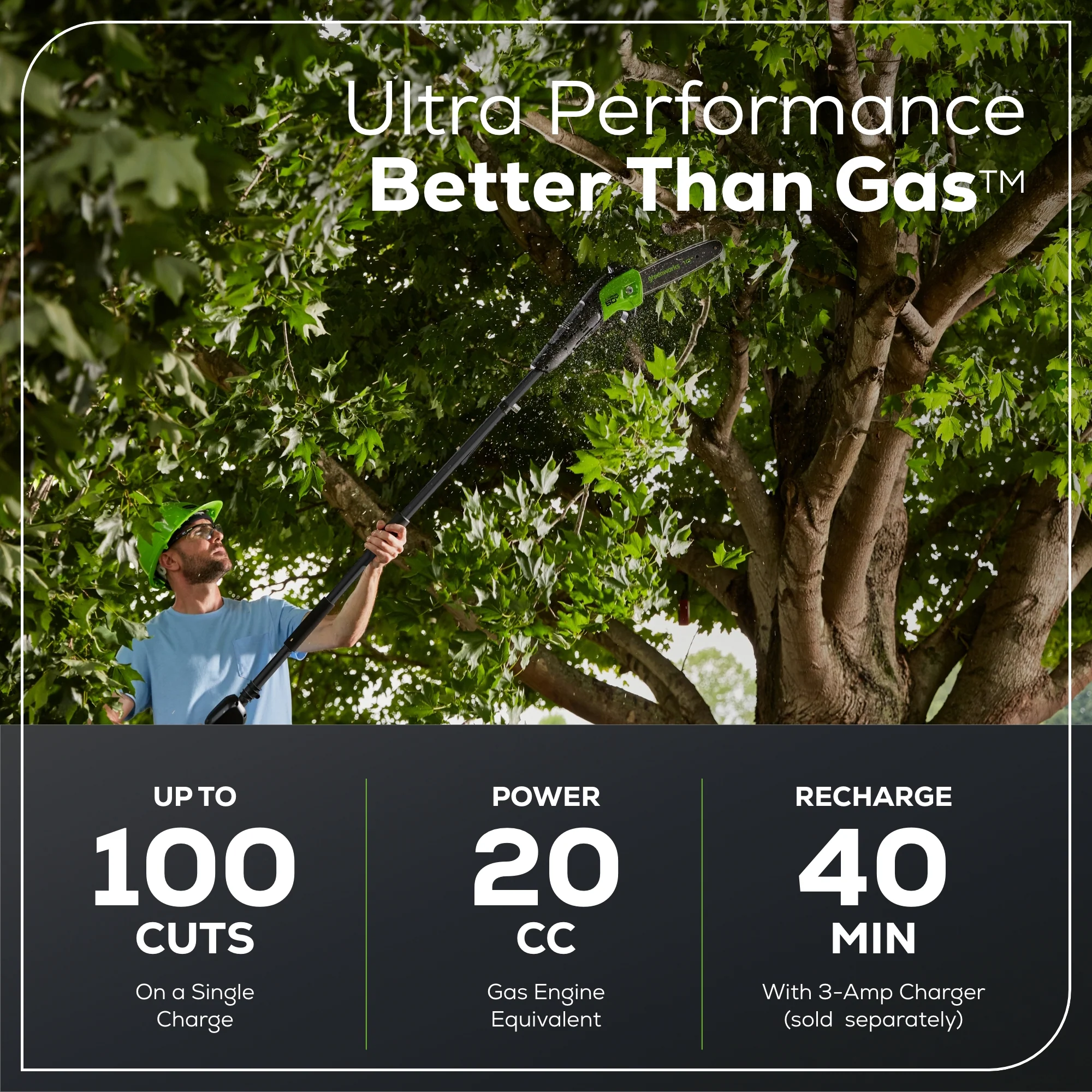 60V 10 Cordless Battery Pole Saw- Black Shaft (Tool Only)