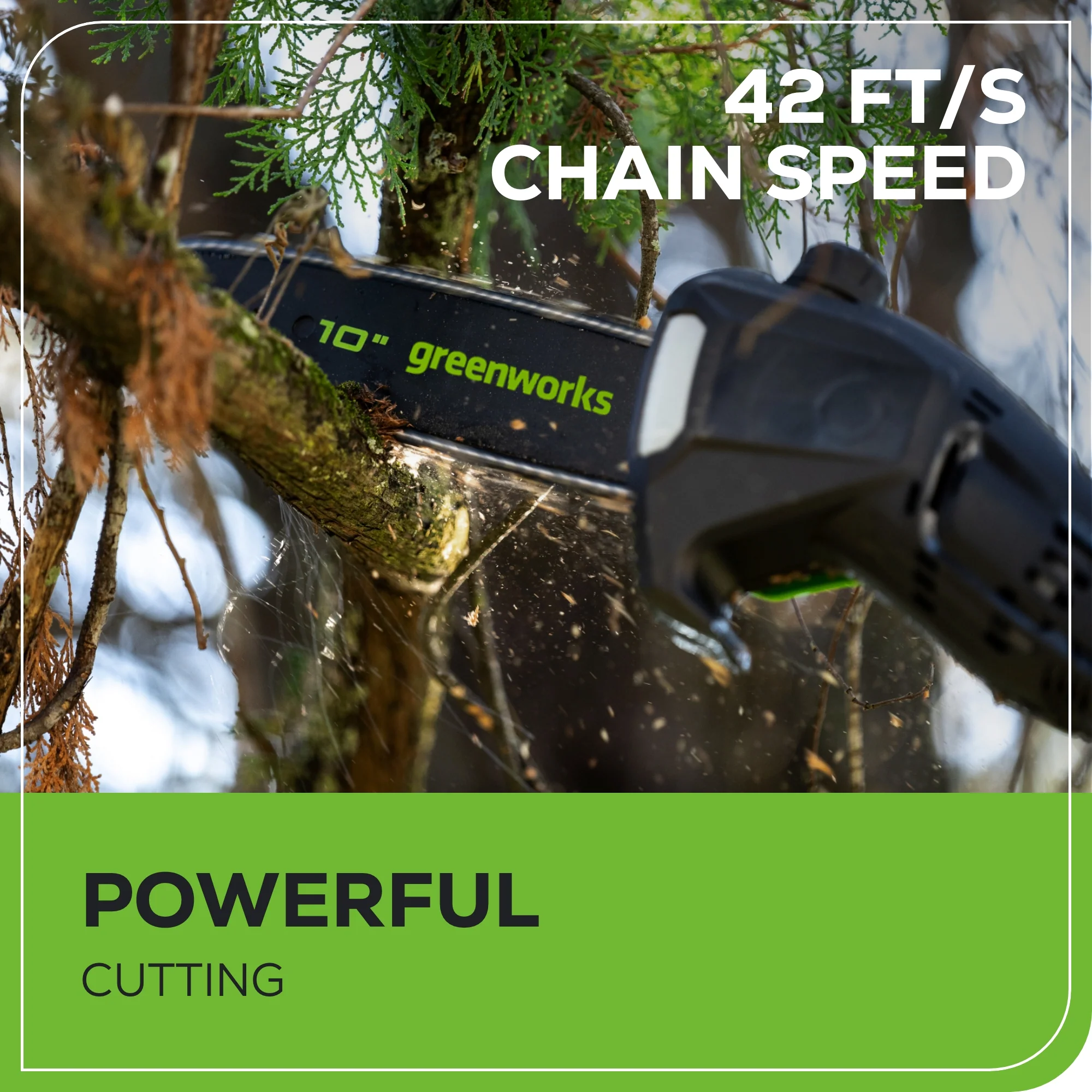 60V 10 Cordless Battery Pole Saw- Black Shaft (Tool Only)