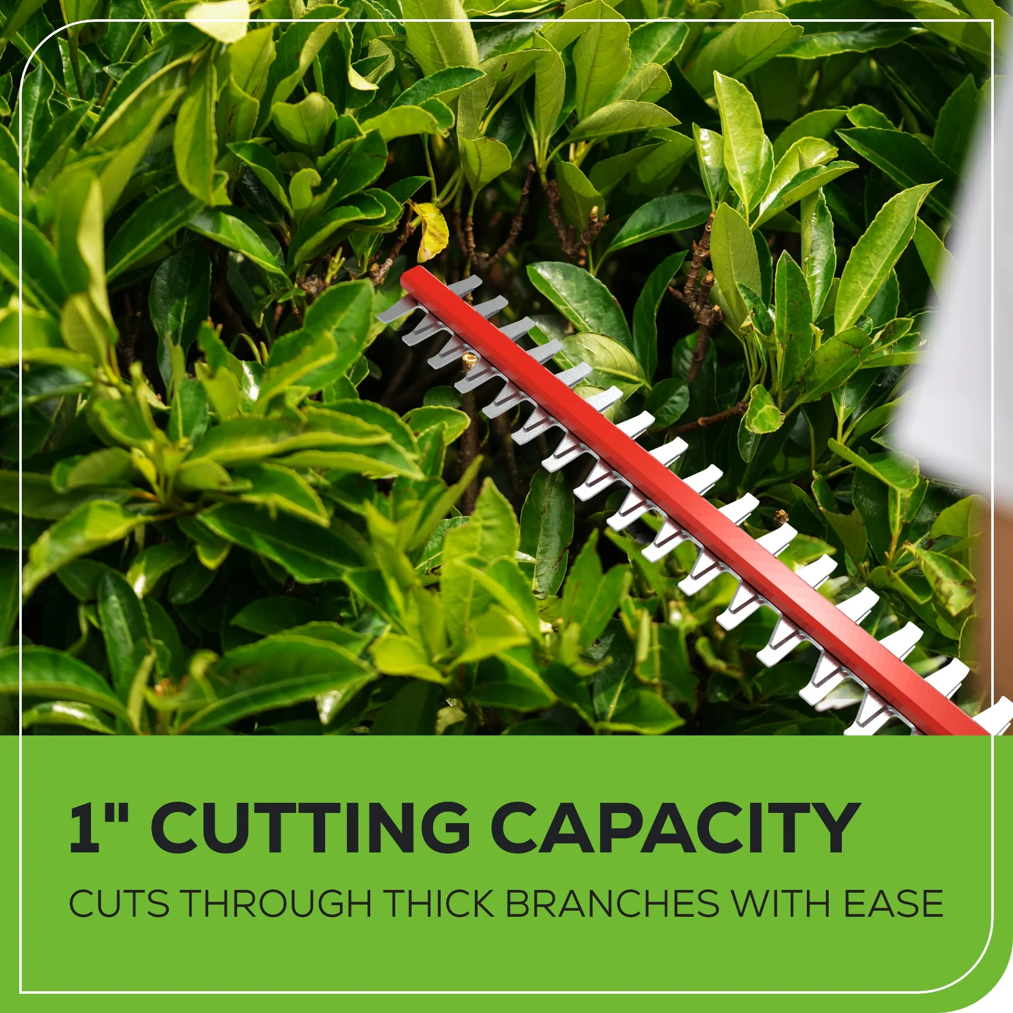 40V 20 Cordless Battery Pole Hedge Trimmer w/ 2.0 Ah Battery & Charger