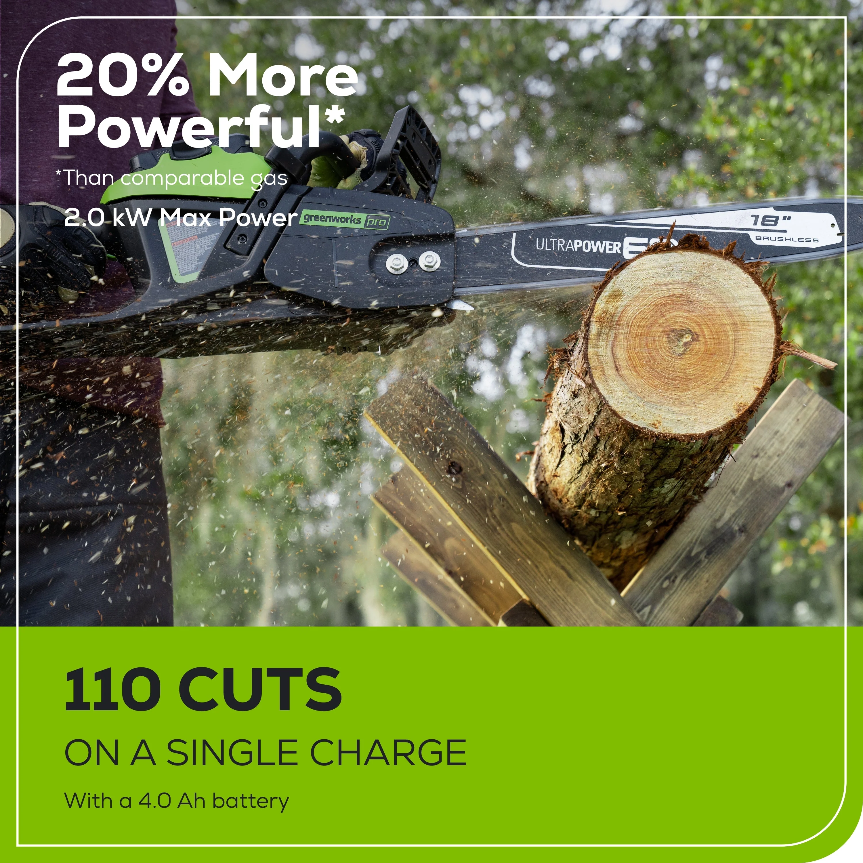 60V 18 Cordless Battery 2.0kW Chainsaw & 24V 6 Pruner Saw w/ (1) 4.0 Ah Battery, (1) 2.0 Ah Battery & (2) Chargers