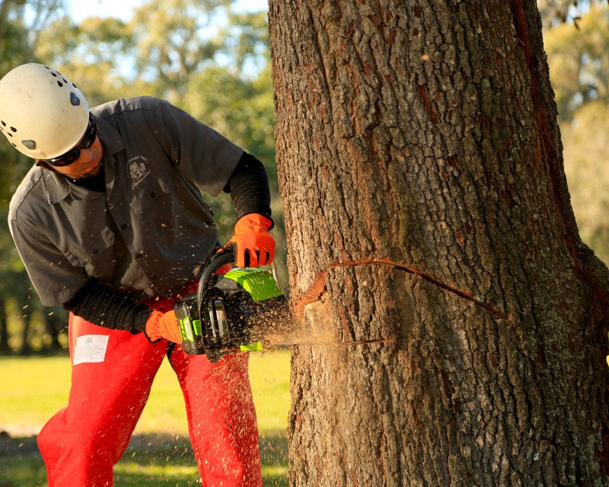 Pro 80V 18 Brushless Chainsaw (Tool Only)