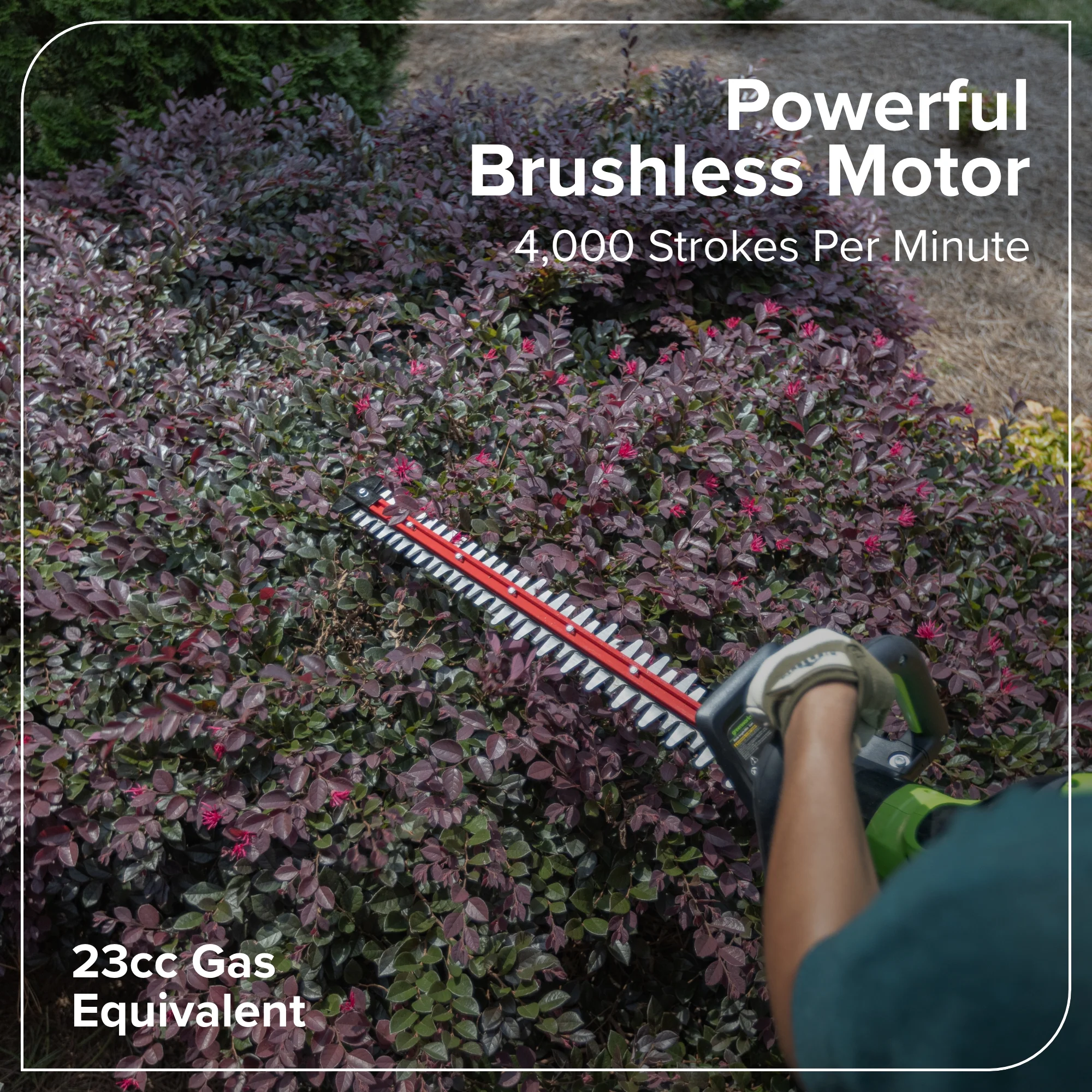 60V 26 Cordless Battery Hedge Trimmer 4000 SPM w/ 2Ah Battery and 3A Charger