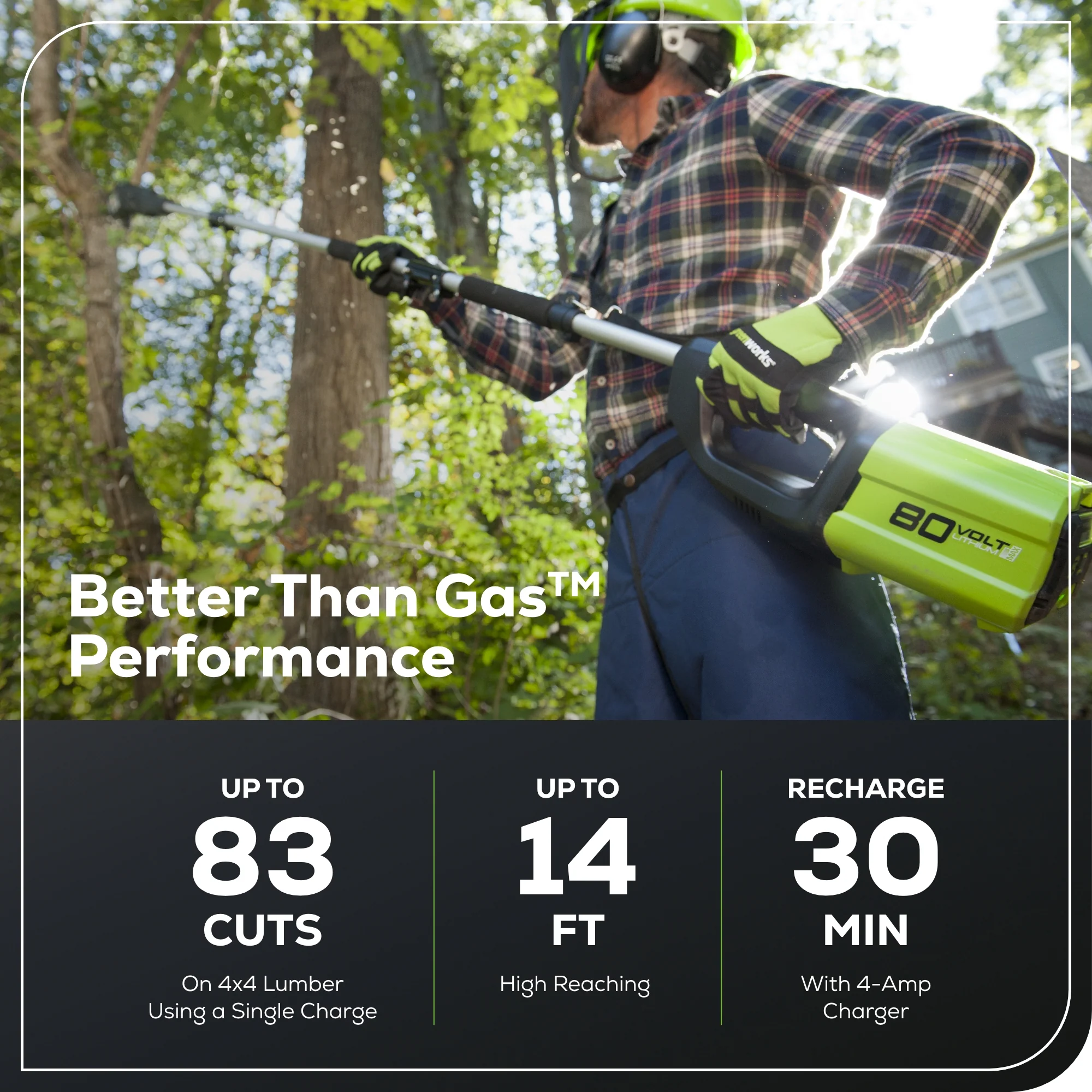 80V Cordless 10 Brushless Pole Saw w/ 2.0Ah Battery & Rapid Charger