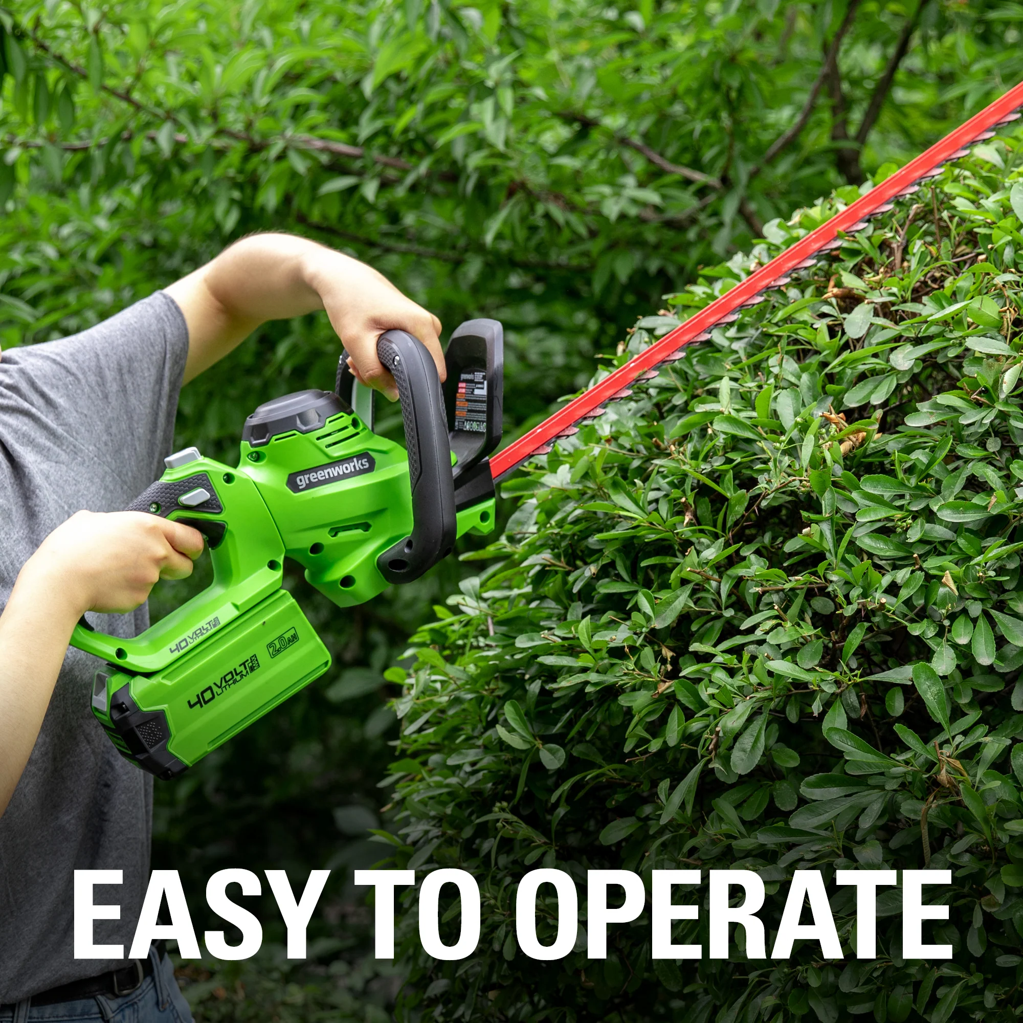 40V 24 Cordless Battery Hedge Trimmer w/ 2.0 Ah USB Battery & Charger