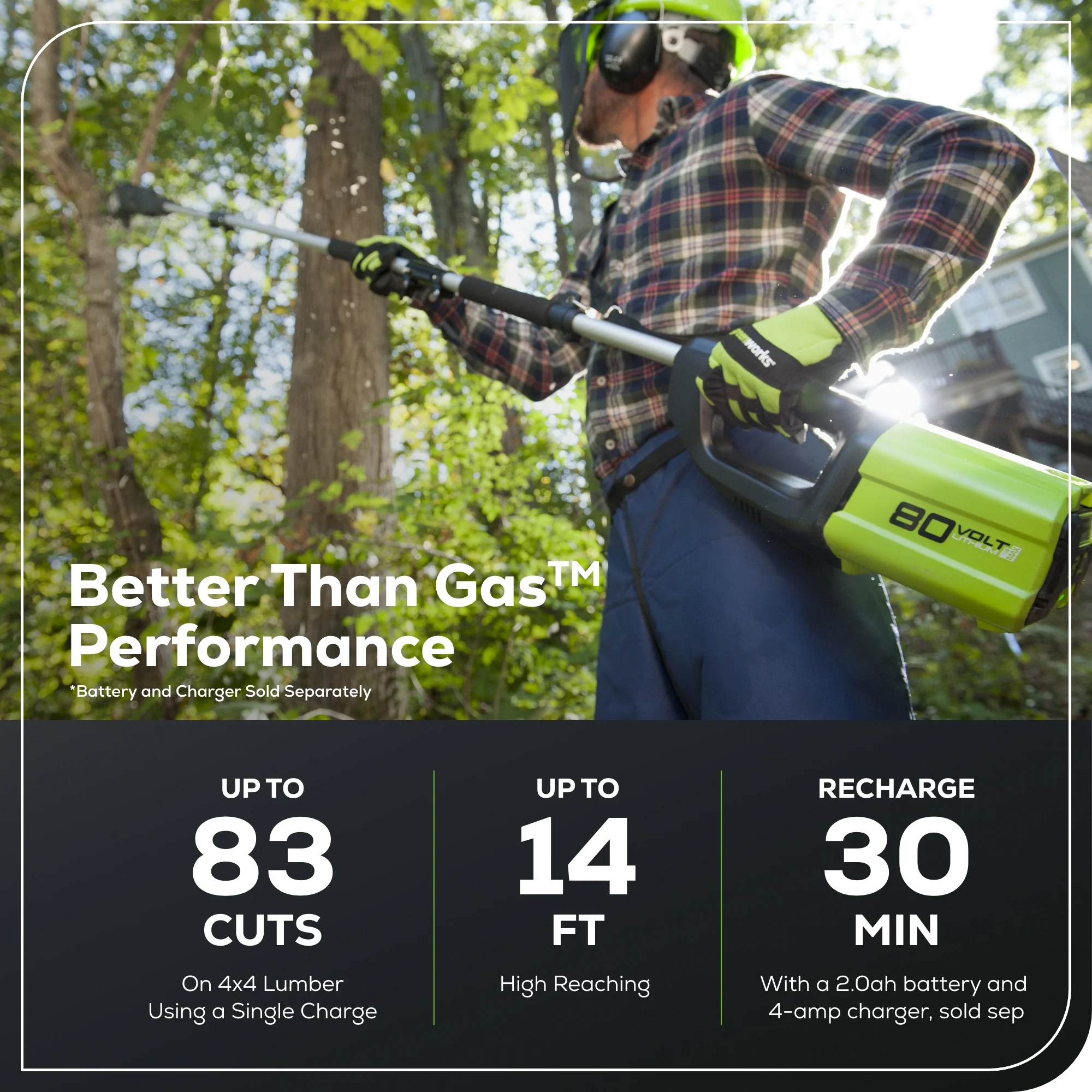 80V 10 Cordless Battery Pole Saw (Tool Only)