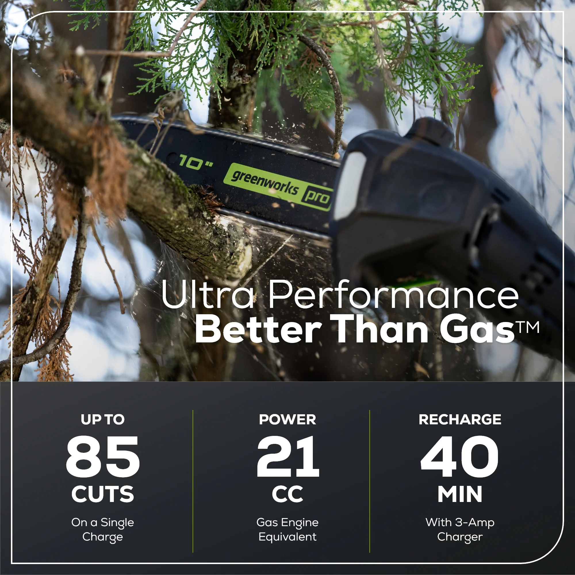 60V 10 Cordless Battery Pole Saw w/ 2.0 Ah Battery & Charger