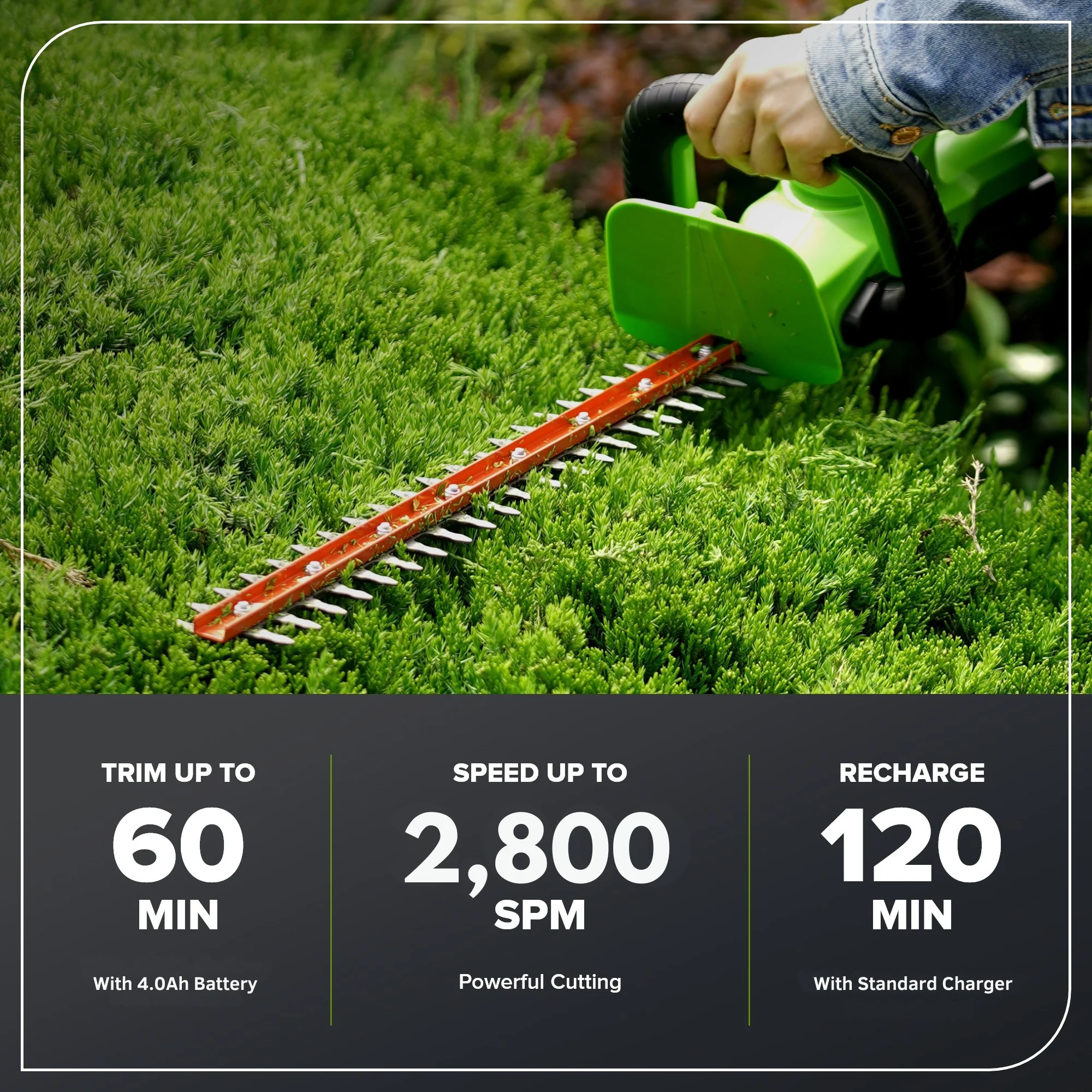24V 22 Cordless Battery Hedge Trimmer 2800 SPM w/ 4.0Ah USB Battery & Charger