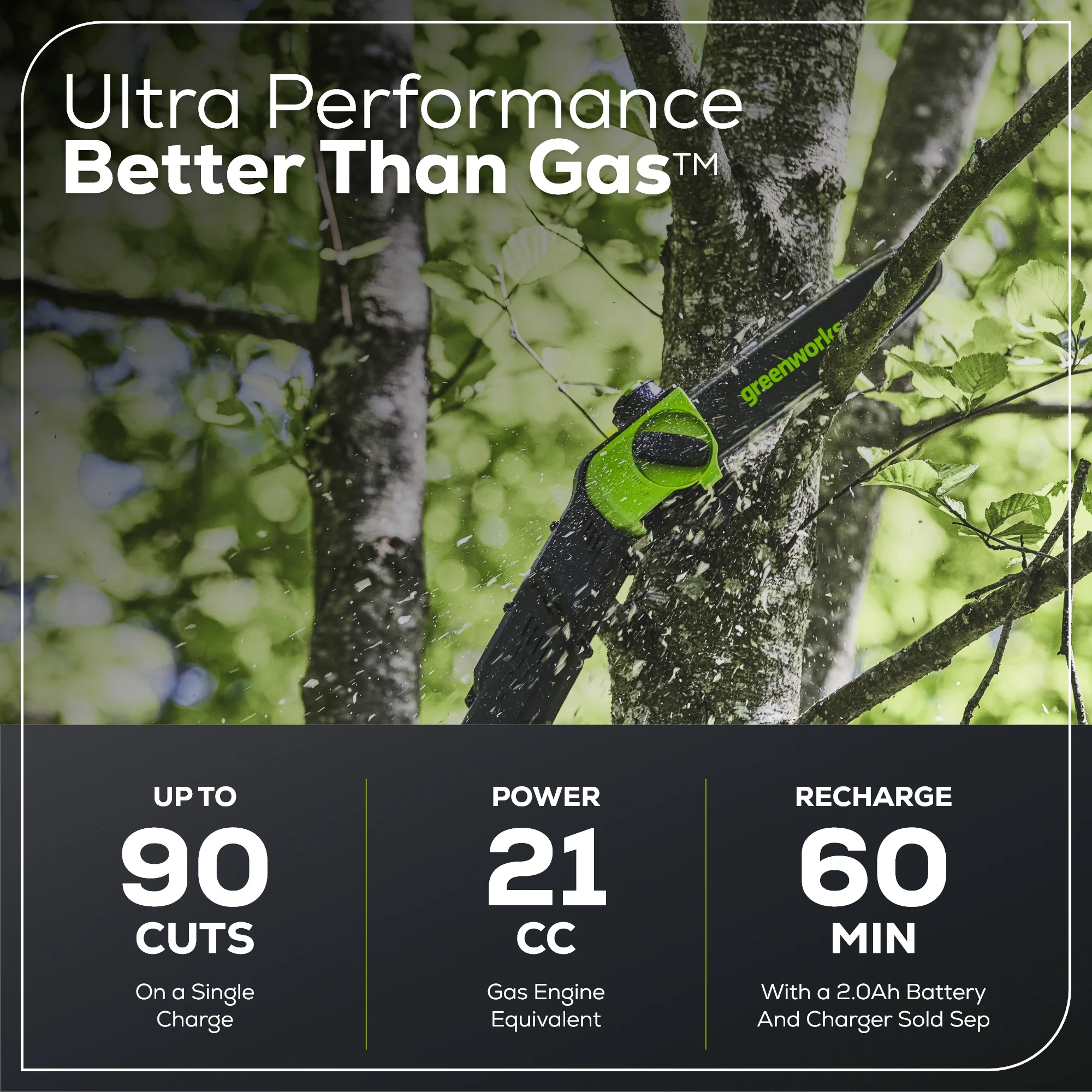 80V 10 Gen2 Cordless Battery Pole Saw (Tool Only)