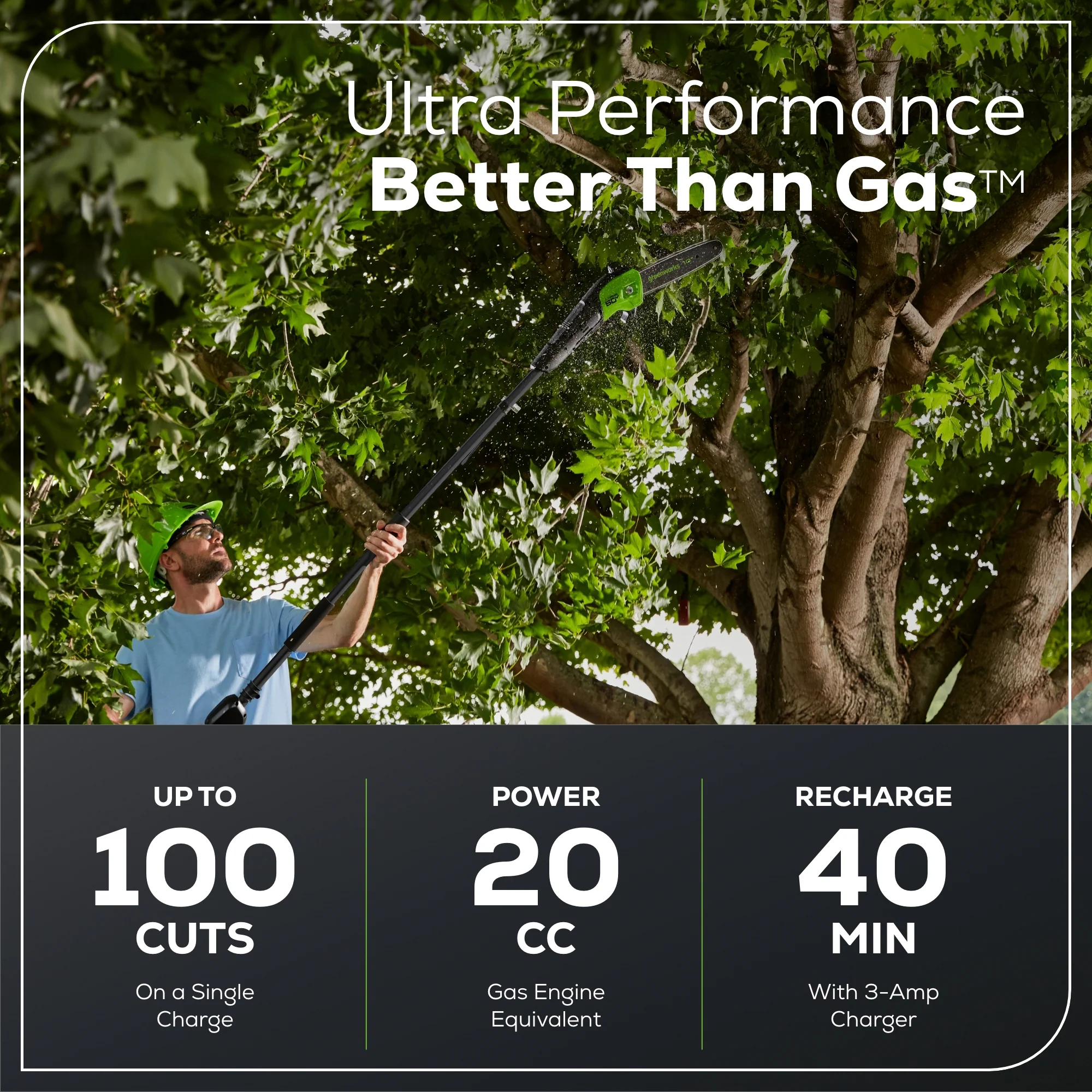 60V 10 Cordless Battery Pole Saw- Black Shaft w/ 2.0 Ah Battery & Charger