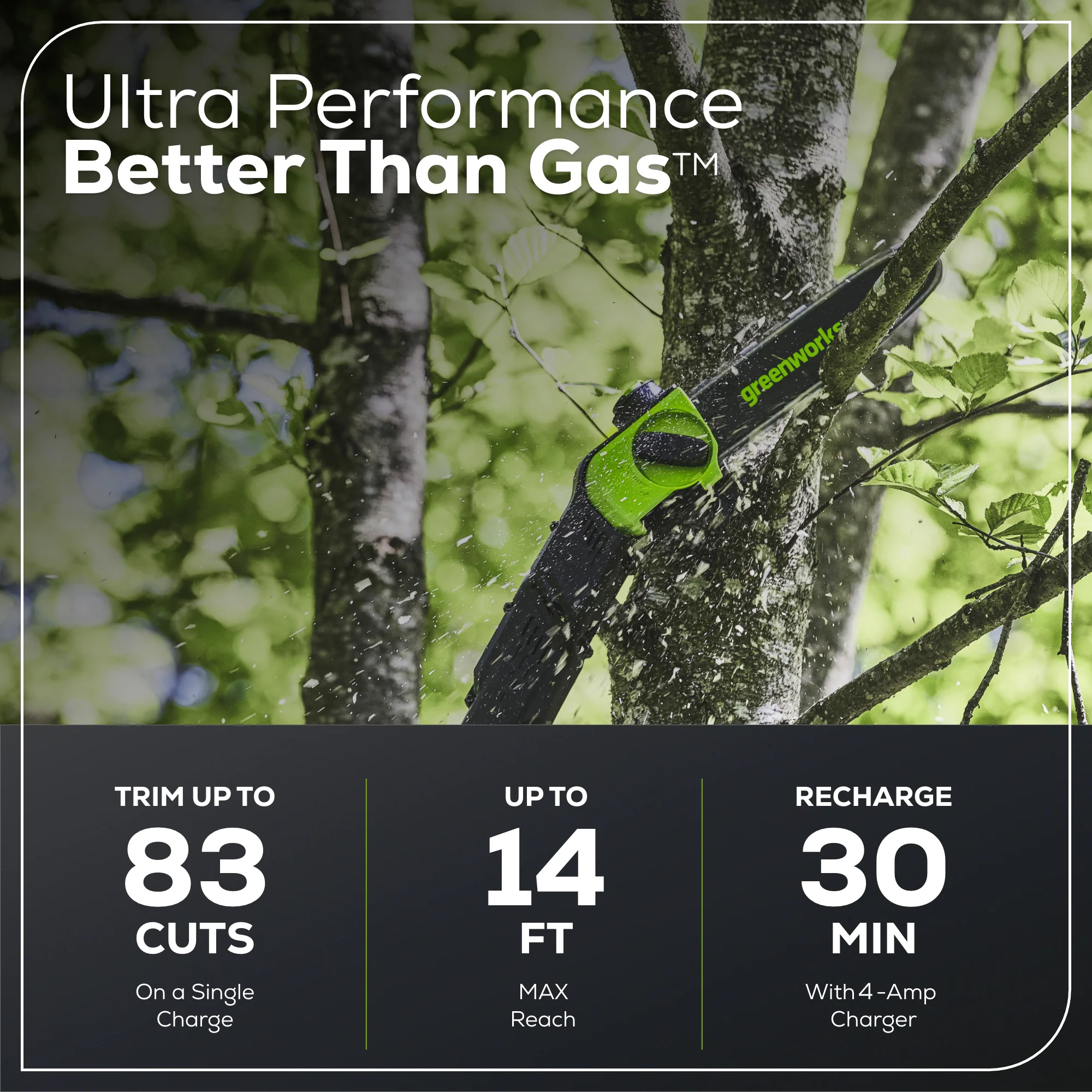 80V 20 Cordless Battery Pole Hedge & 10 Pole Saw Combo Kit w/ 2.0 Ah Battery & Rapid Charger