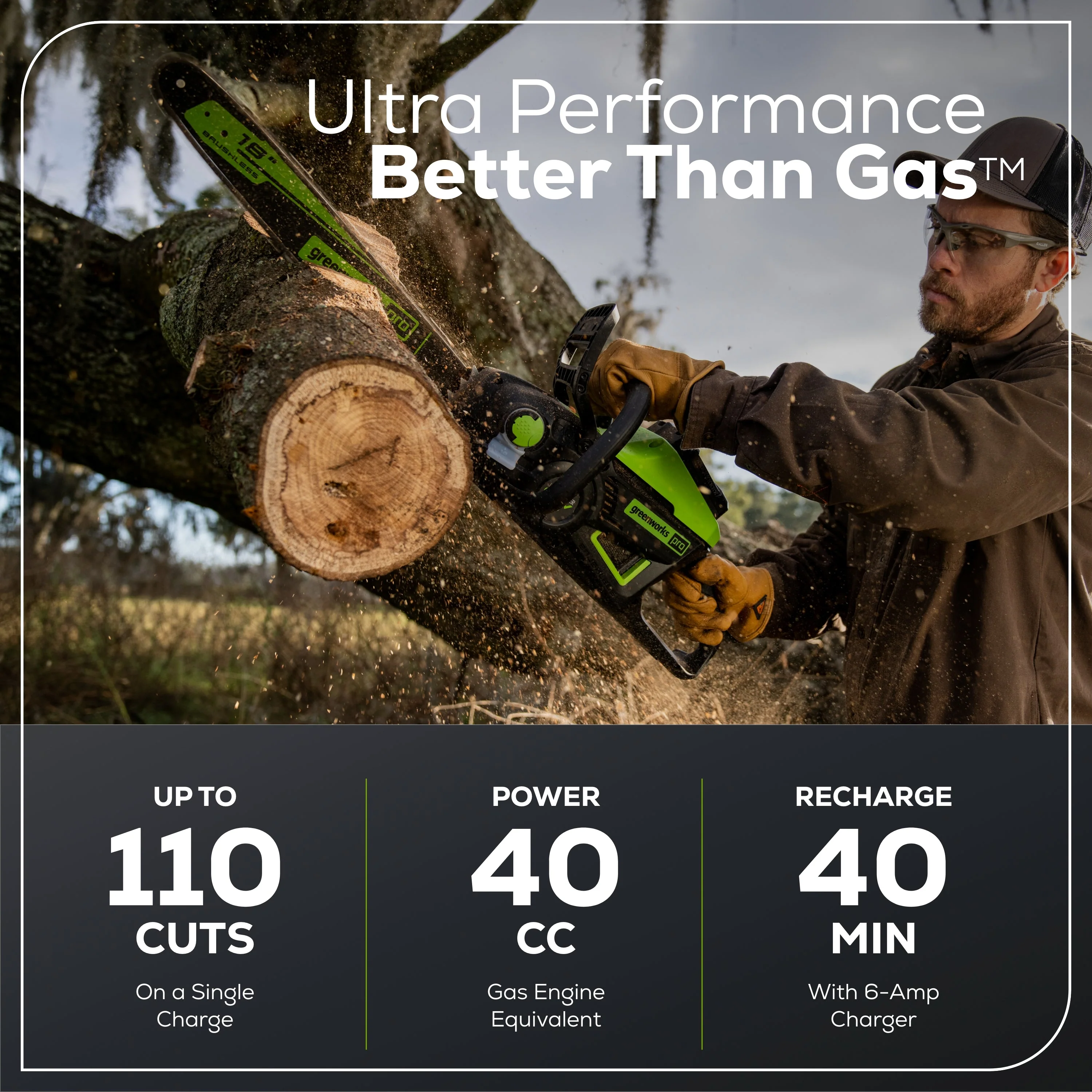 60V 18 Cordless Battery 2.0kW Chainsaw & 24V 6 Pruner Saw w/ (1) 4.0 Ah Battery, (1) 2.0 Ah Battery & (2) Chargers