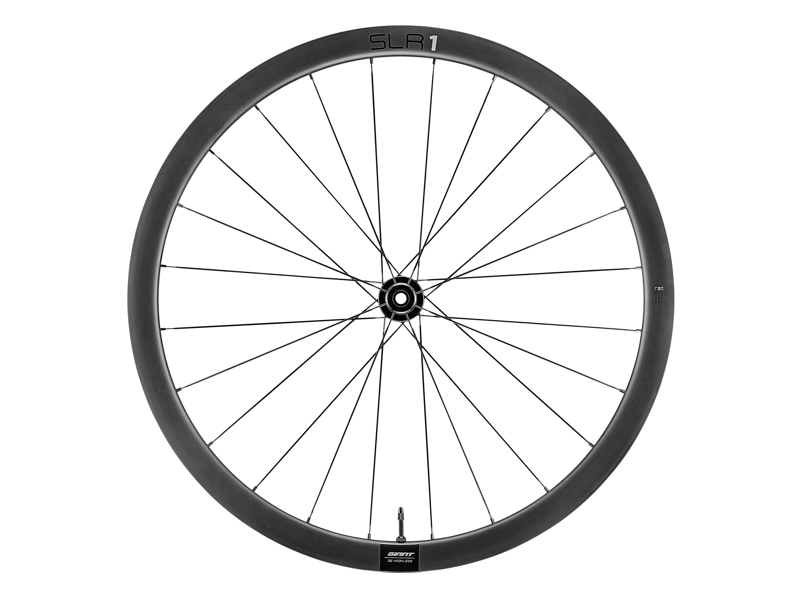 SLR 1 36 Disc Wheelsystem