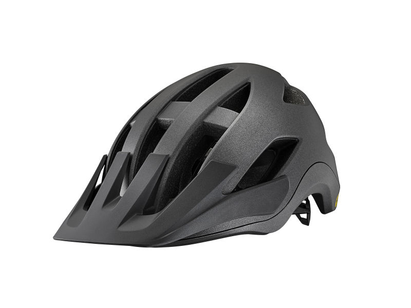 Roost Helmet