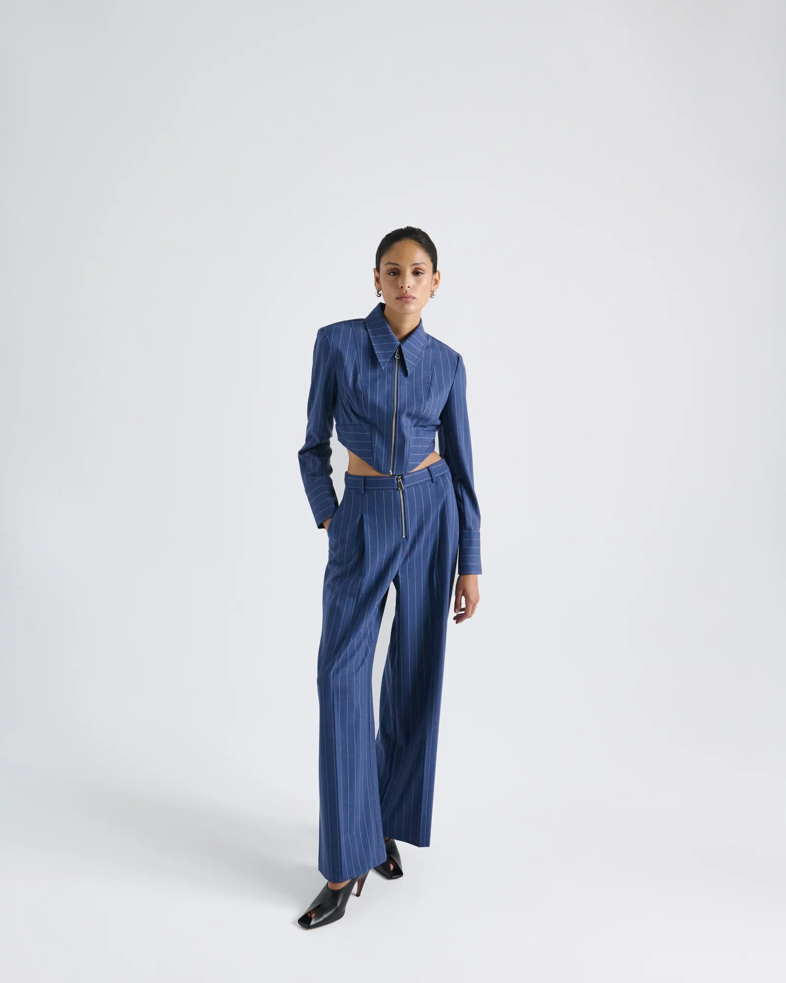 European Wool Stripe Pleat Front Pant