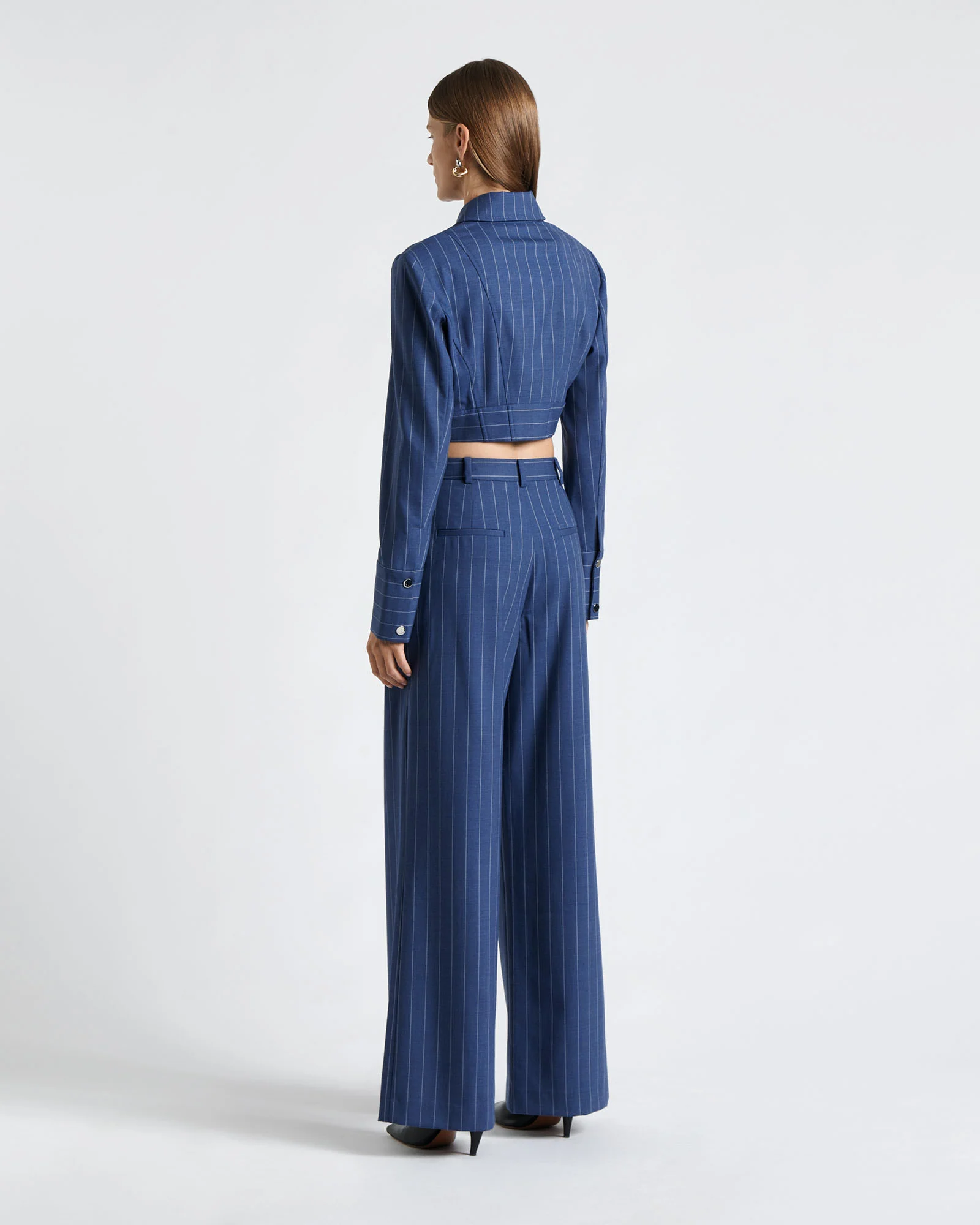 European Wool Stripe Pleat Front Pant