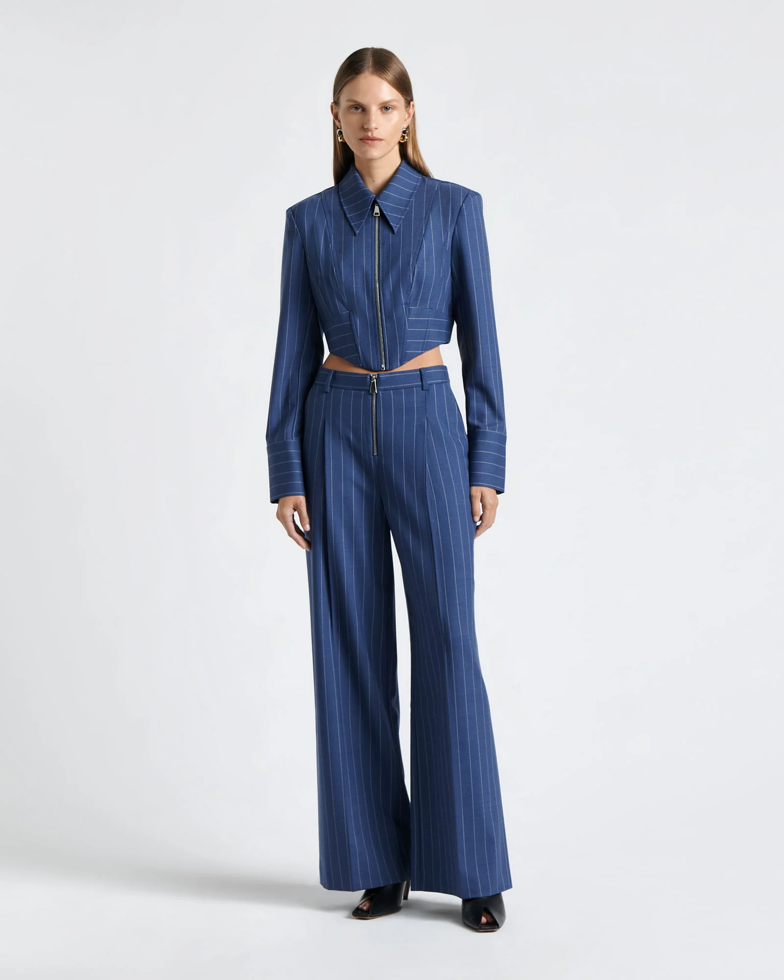 European Wool Stripe Pleat Front Pant