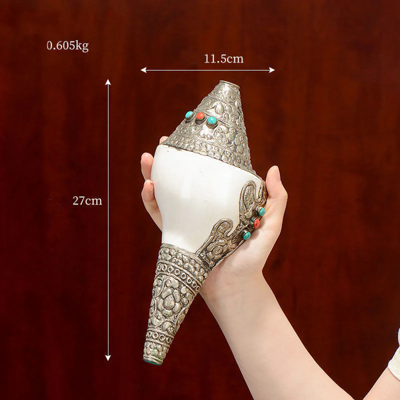 Buddha Stones Tibetan Natural Shankha Conch Shell Seashell Wealth Lucky Home Decoration