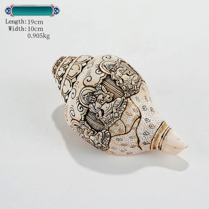 Buddha Stones Tibetan Handmade Engraved Shankha Buddha Avalokitesvara Conch Shell Wealth Decoration
