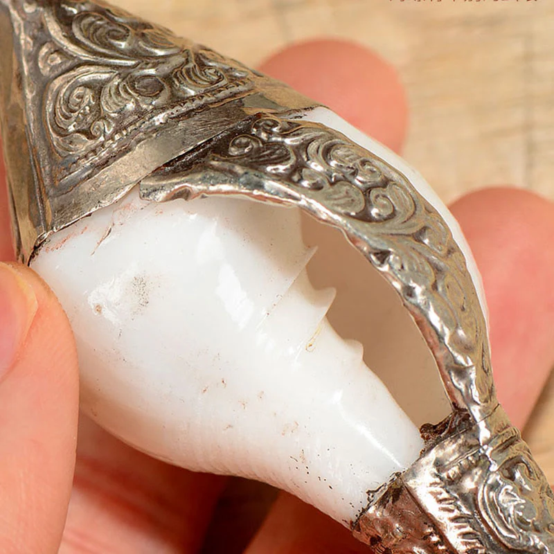 Buddha Stones Tibetan Natural Shankha Conch Shell Seashell Wealth Lucky Home Decoration