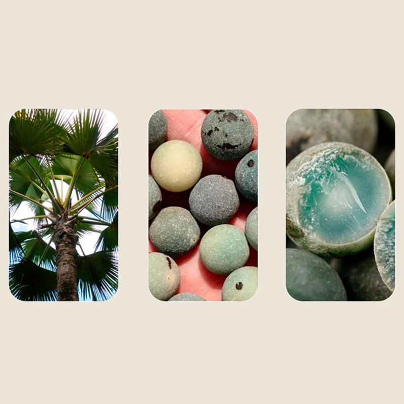 Buddha Stones 108 Beads Bodhi Seed Blessing Meditation Bracelet Mala