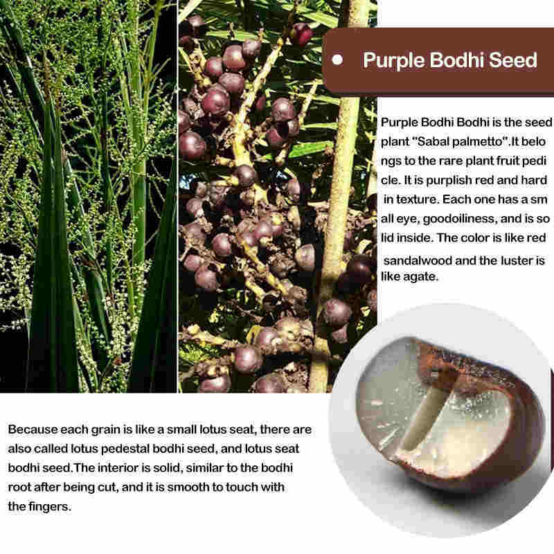 Buddha Stones Tibet 108 Mala Beads Purple Bodhi Seed Bagua Vajra Auspiciousness Bracelet