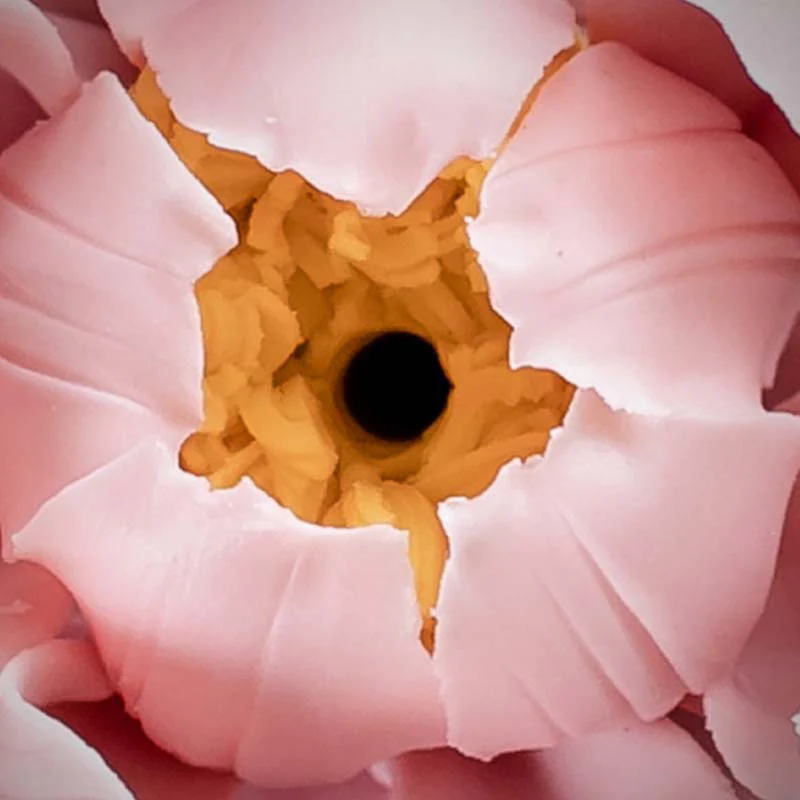 Buddha Stones Tibetan Lotus Blessing Ceramic Stick Incense Burner Decoration