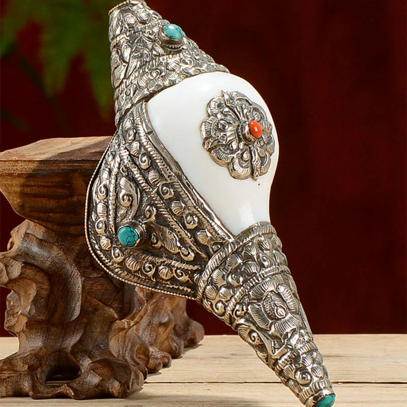 Buddha Stones Tibetan Natural Shankha Conch Shell Seashell Wealth Lucky Home Decoration