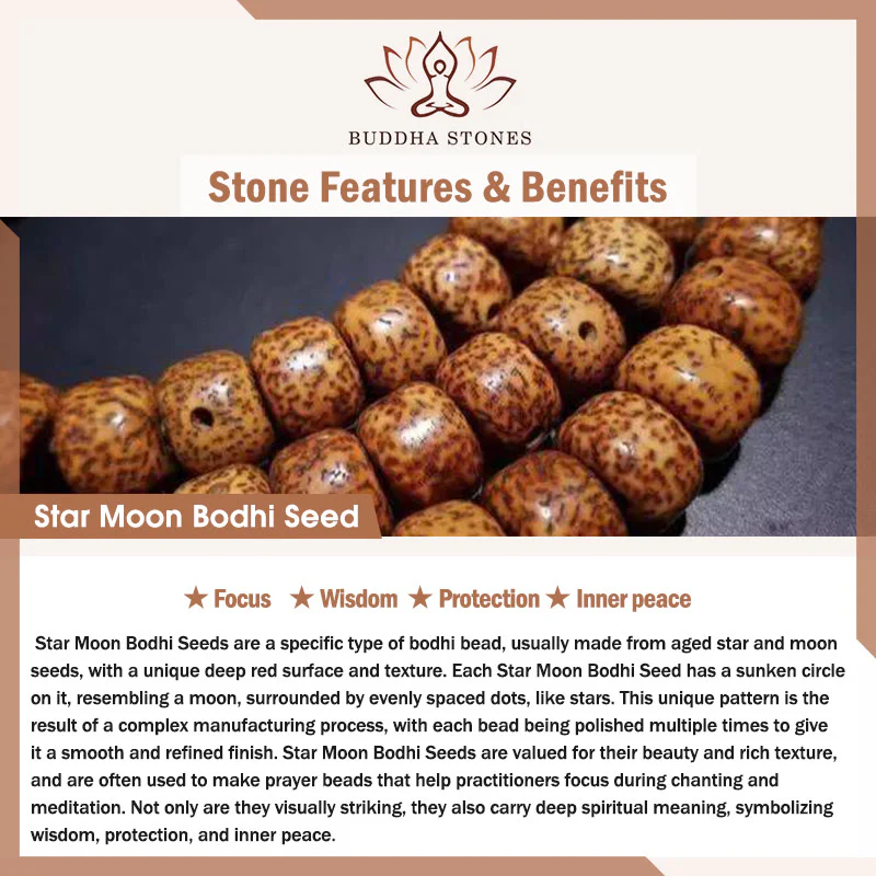 Buddha Stones Hand PolishedStar Moon Bodhi Seed Elephant Pattern Inner Peace Bracelet