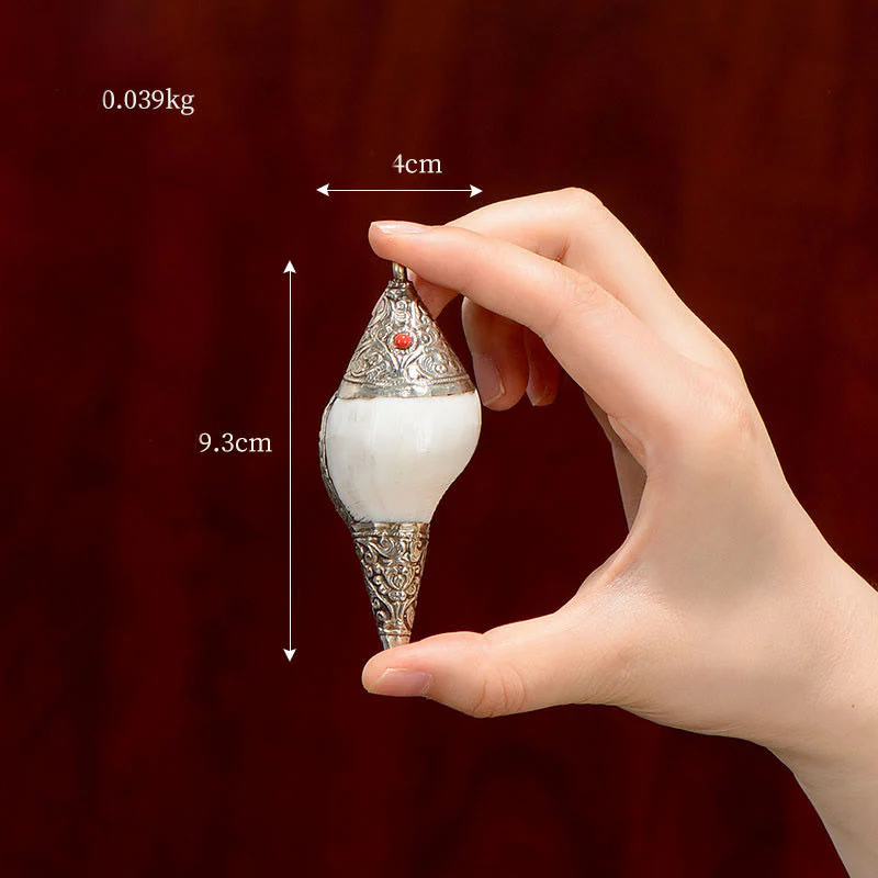 Buddha Stones Tibetan Natural Shankha Conch Shell Seashell Wealth Lucky Home Decoration