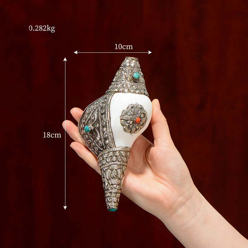 Buddha Stones Tibetan Natural Shankha Conch Shell Seashell Wealth Lucky Home Decoration