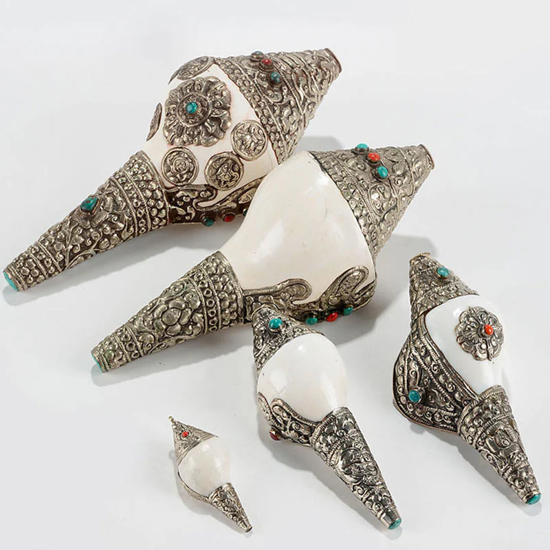 Buddha Stones Tibetan Natural Shankha Conch Shell Seashell Wealth Lucky Home Decoration