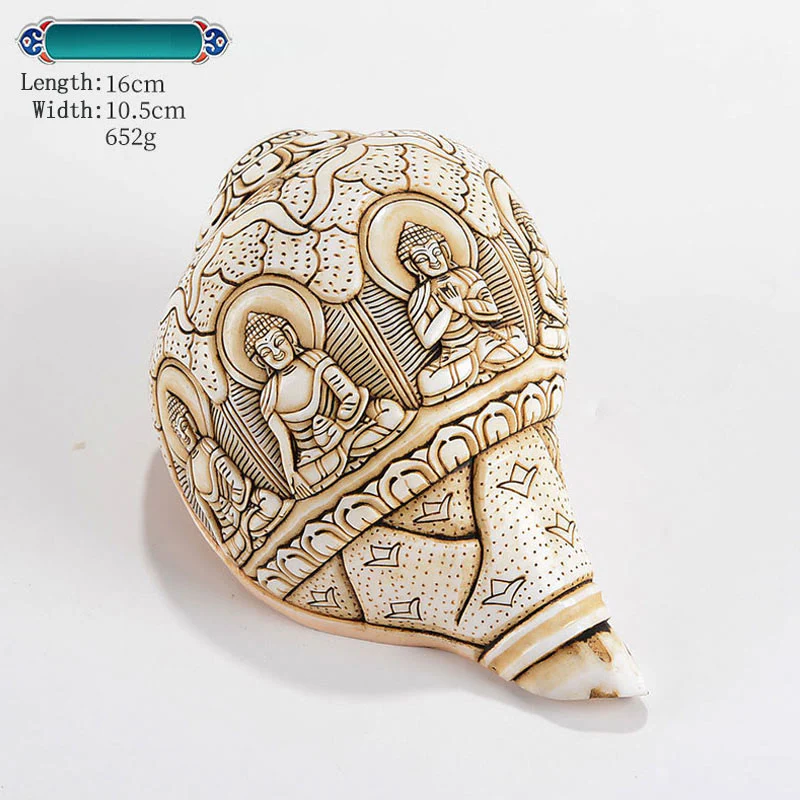 Buddha Stones Tibetan Handmade Engraved Shankha Buddha Avalokitesvara Conch Shell Wealth Decoration