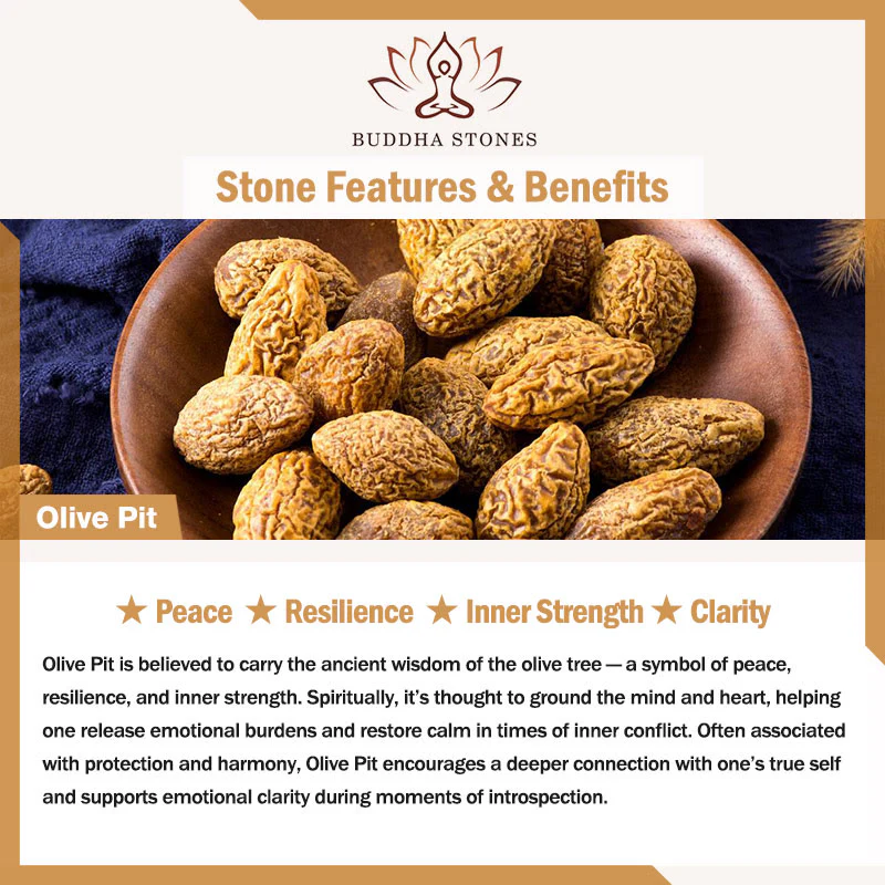 Buddha Stones Ultra-fine Olive Pit Lotus Inner Strength Double Circle Bracelet