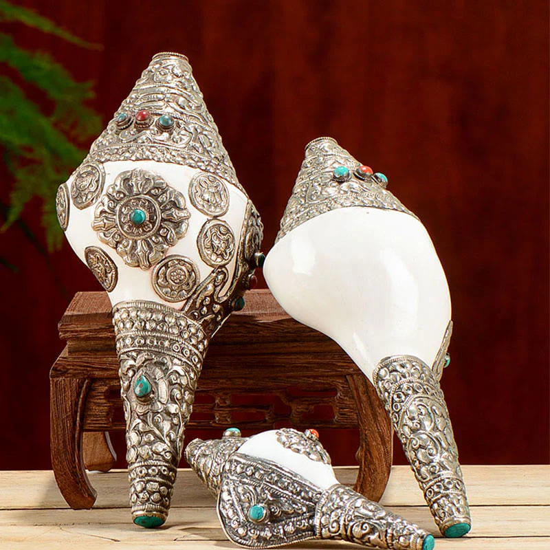 Buddha Stones Tibetan Natural Shankha Conch Shell Seashell Wealth Lucky Home Decoration