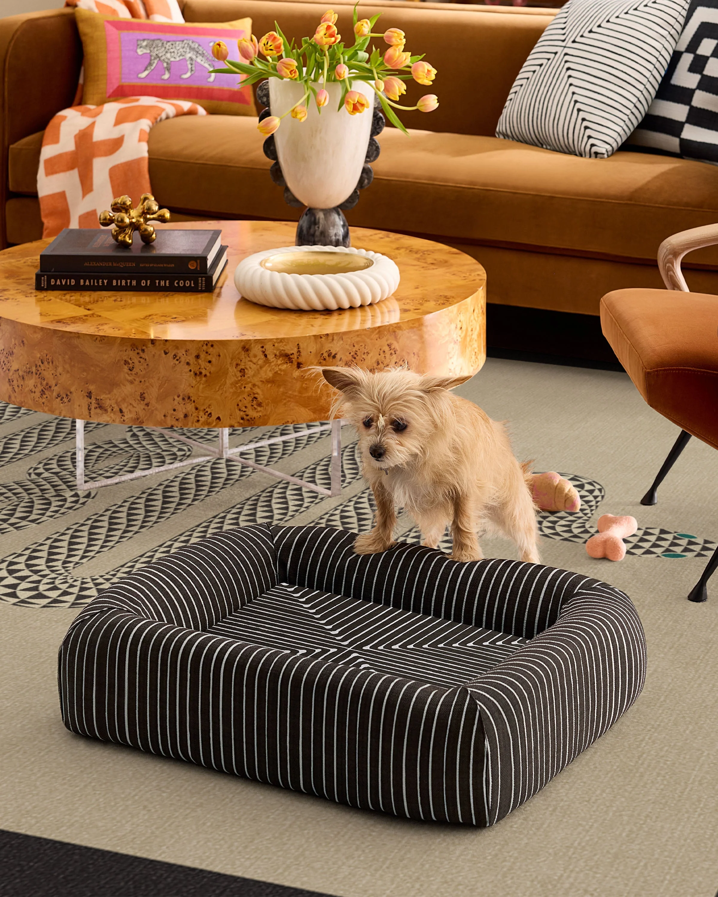 Inkdrop Charcoal Woven Bolster Pet Bed by Jonathan Adler