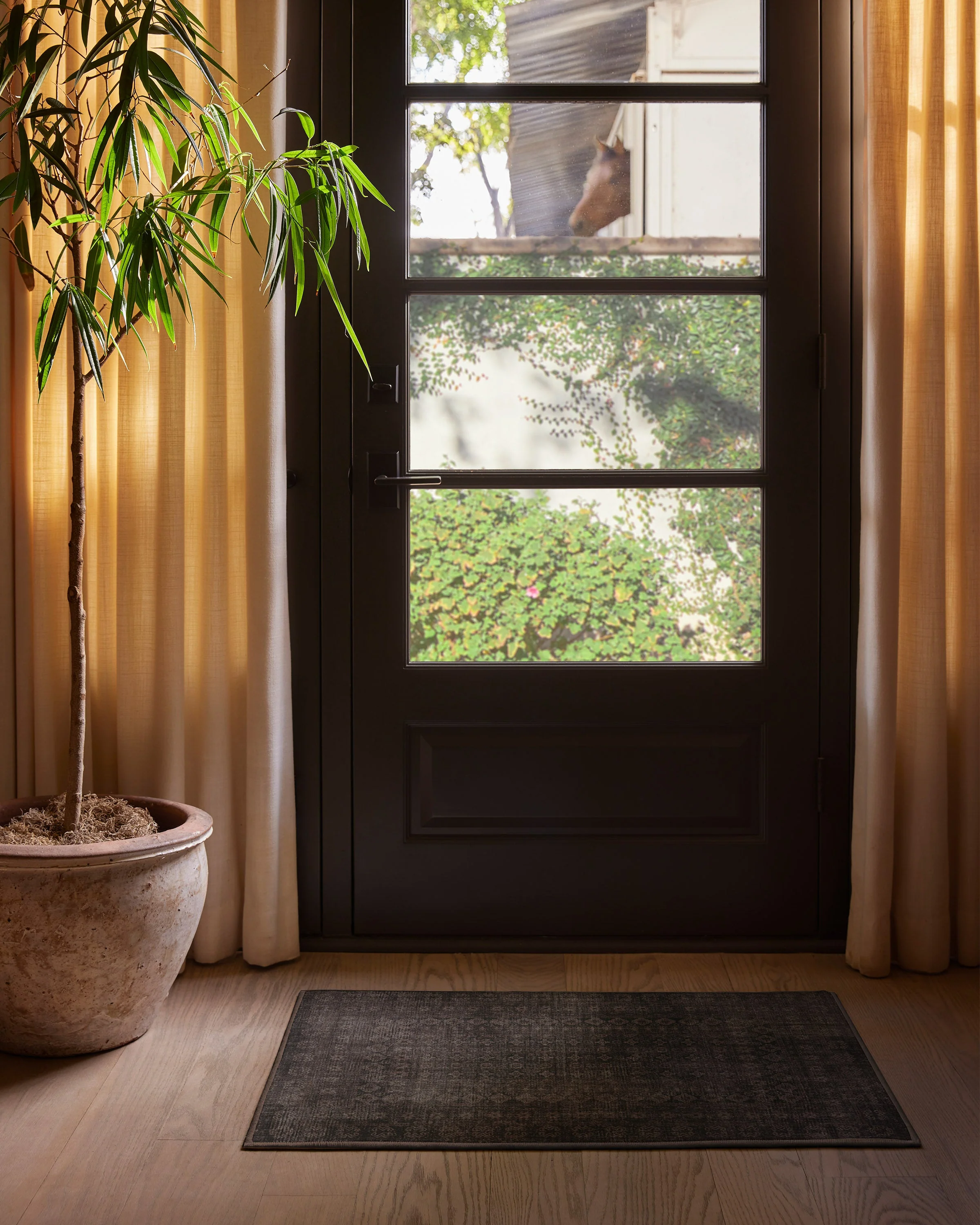 Cyrus Black Flatwoven Rug