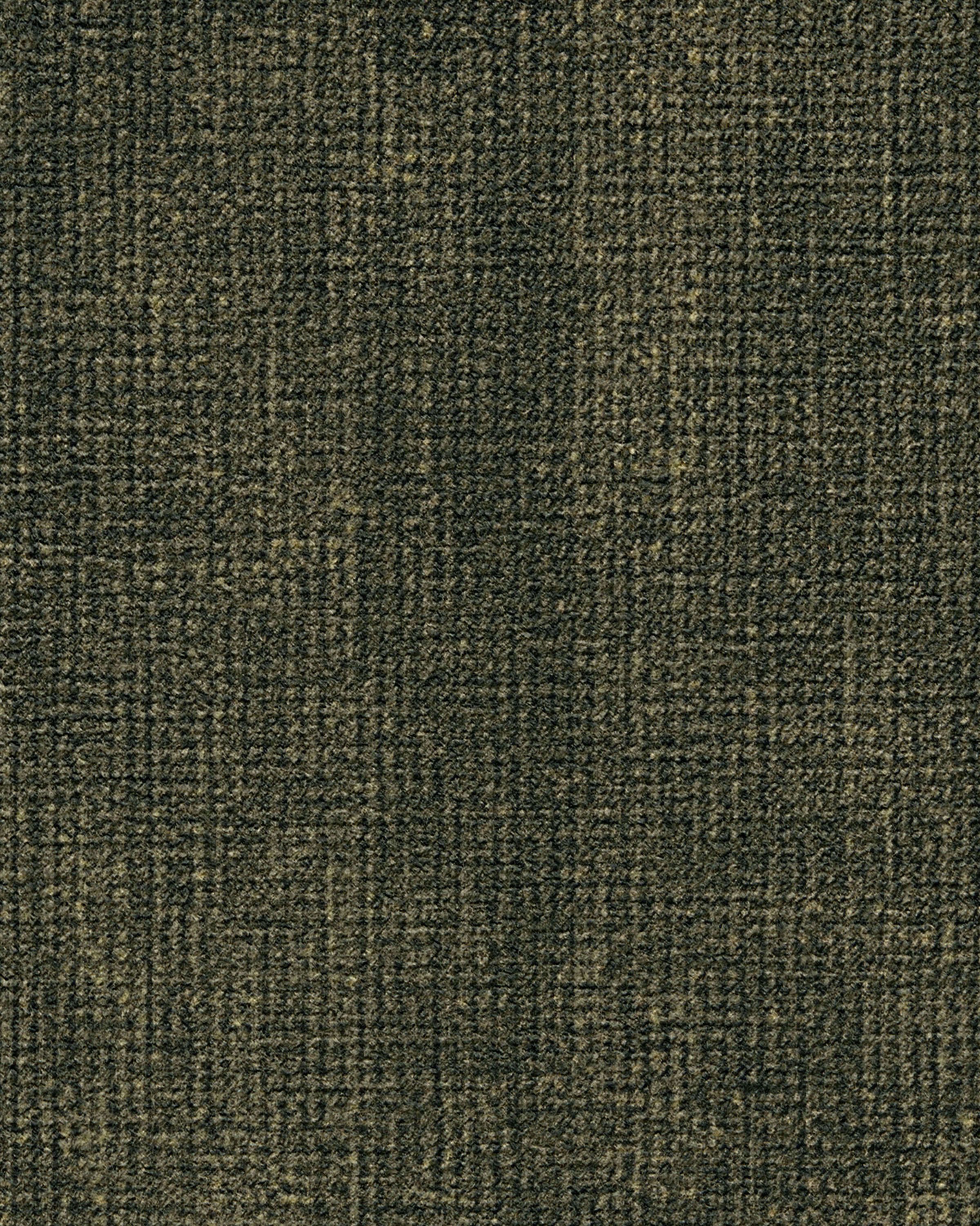 Nico Solid Olive Rug