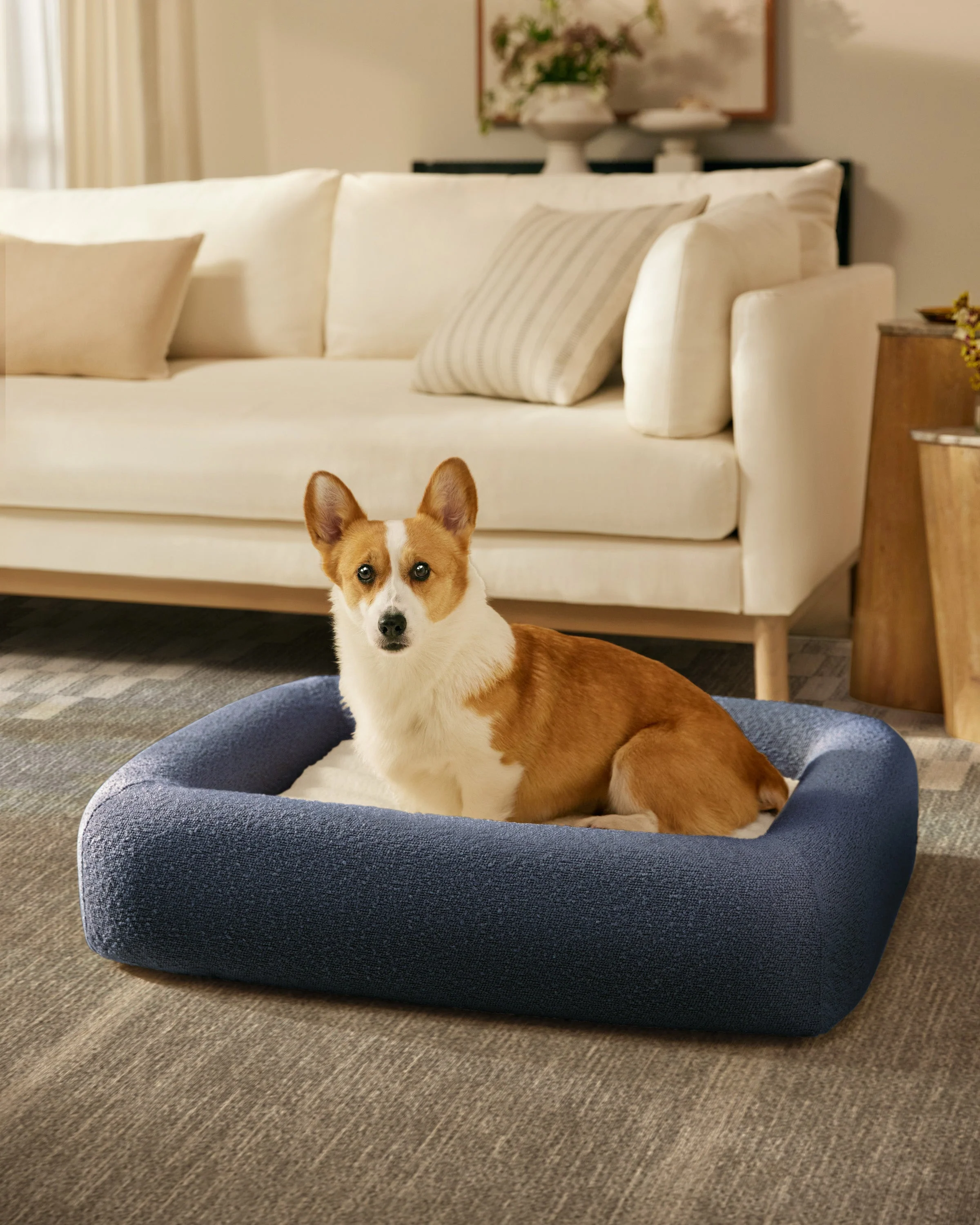 Navy Boucle Bolster Pet Bed