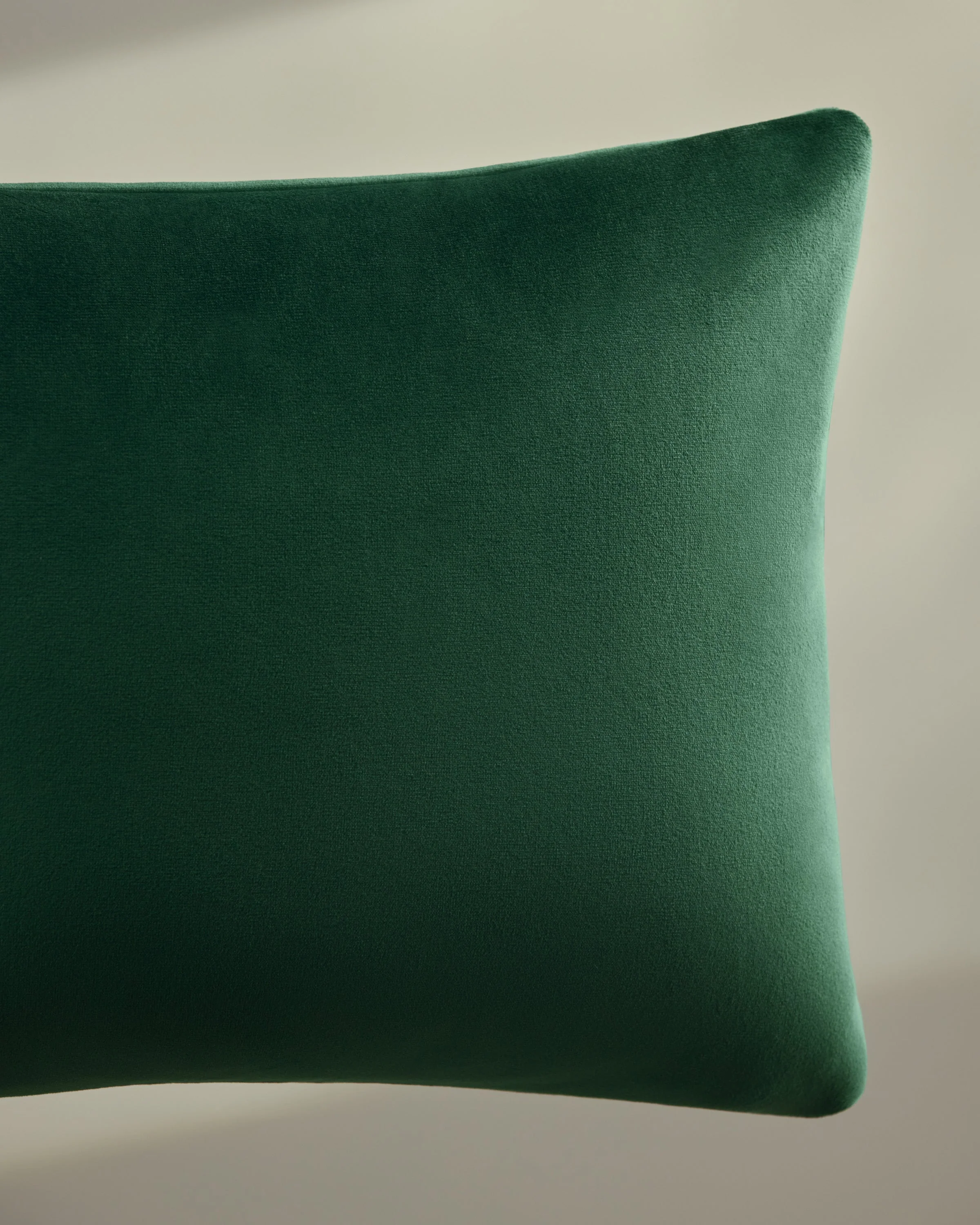 Spruce Green Velvet Throw Pillow
