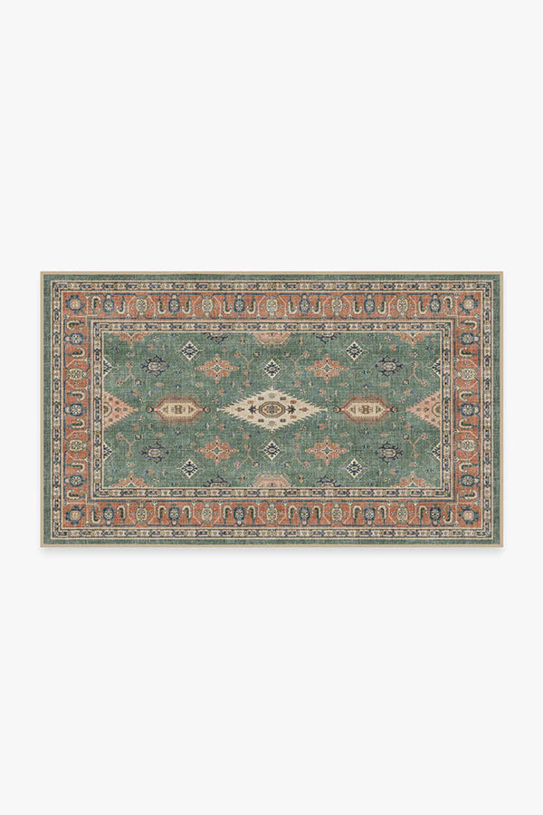 Ranier Copper Sage Outdoor Rug