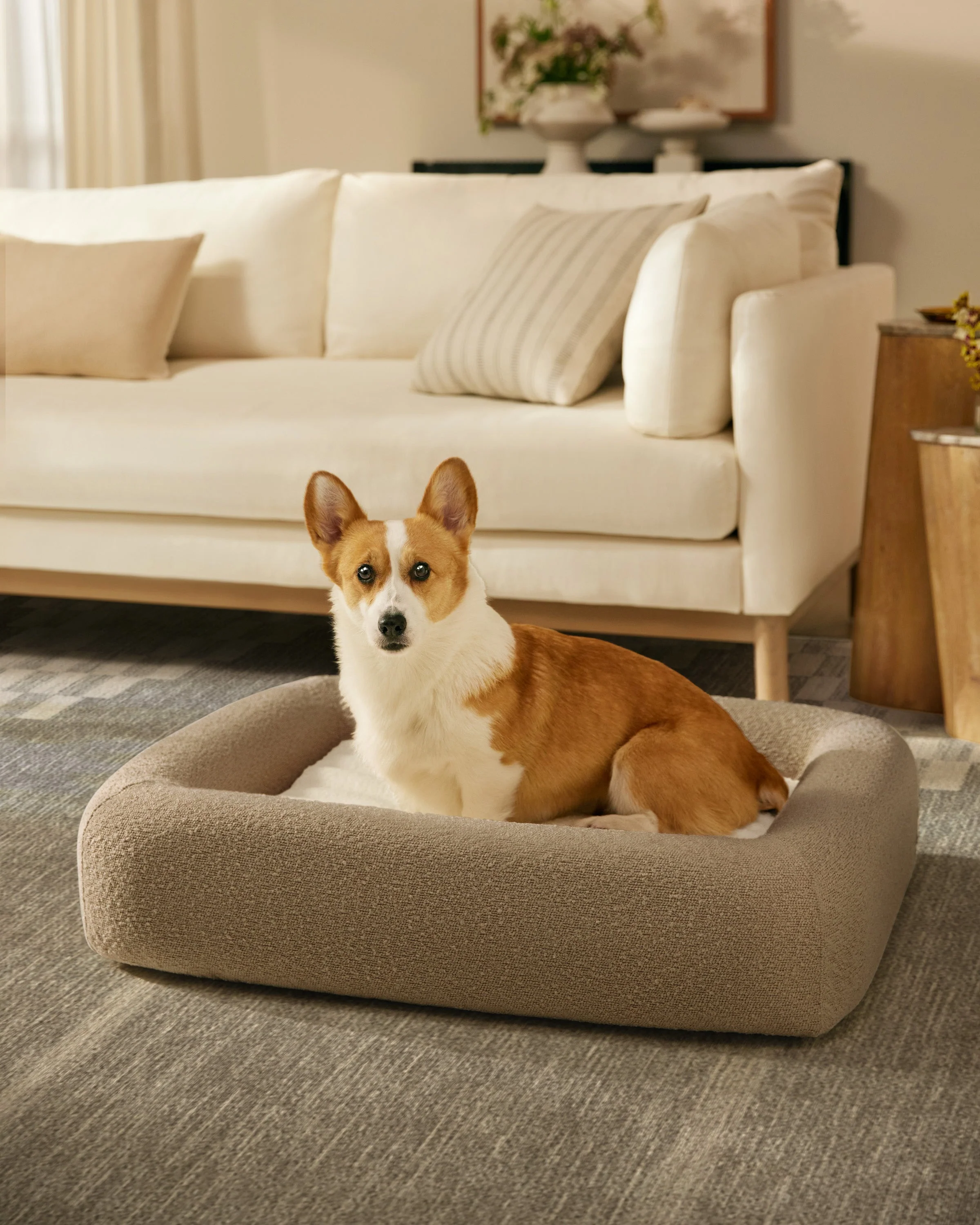 Taupe Boucle Bolster Pet Bed
