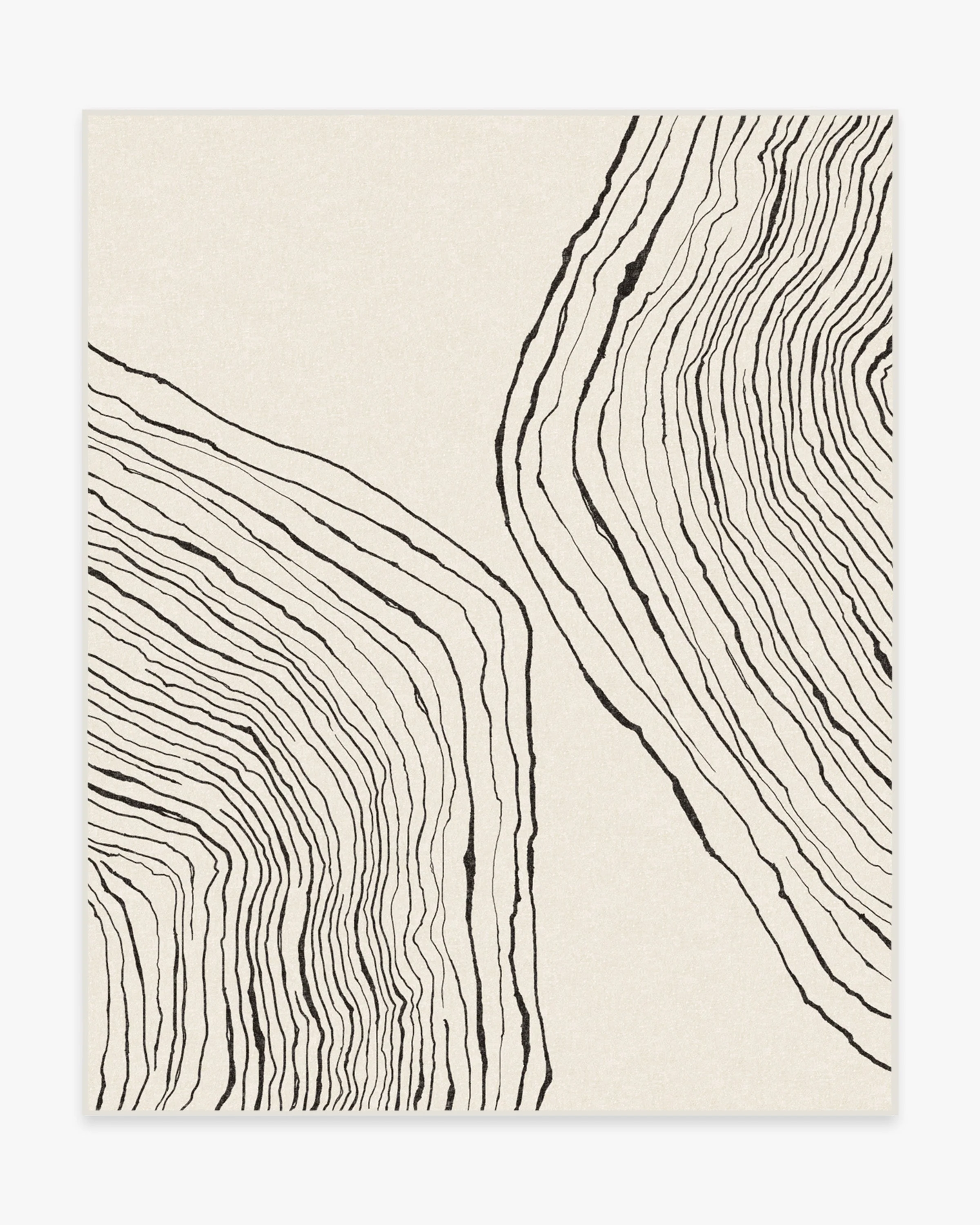 Seine Black & Ivory Rug by Nina Takesh