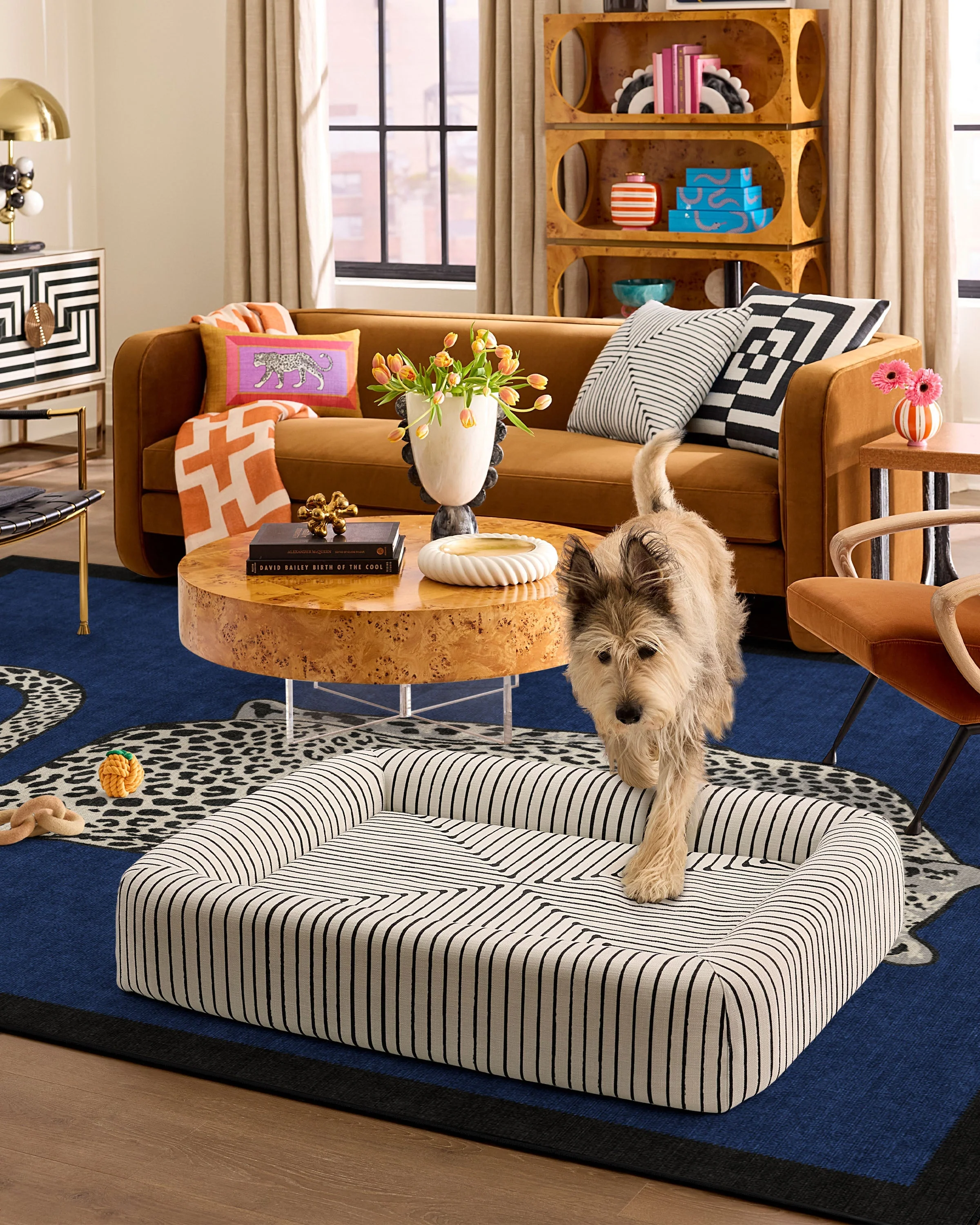 Inkdrop Ivory Woven Bolster Pet Bed by Jonathan Adler