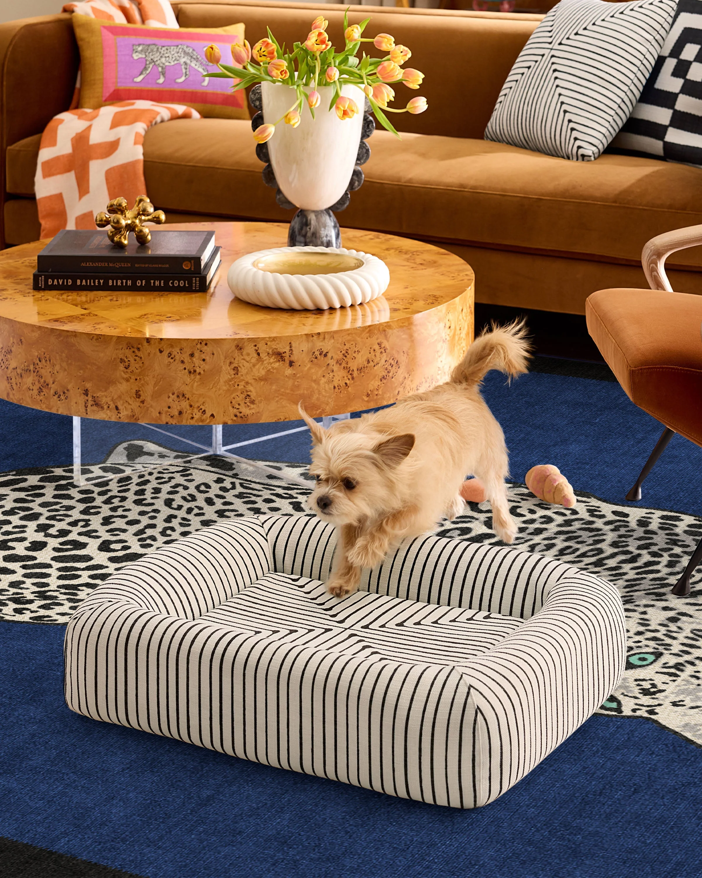 Inkdrop Ivory Woven Bolster Pet Bed by Jonathan Adler