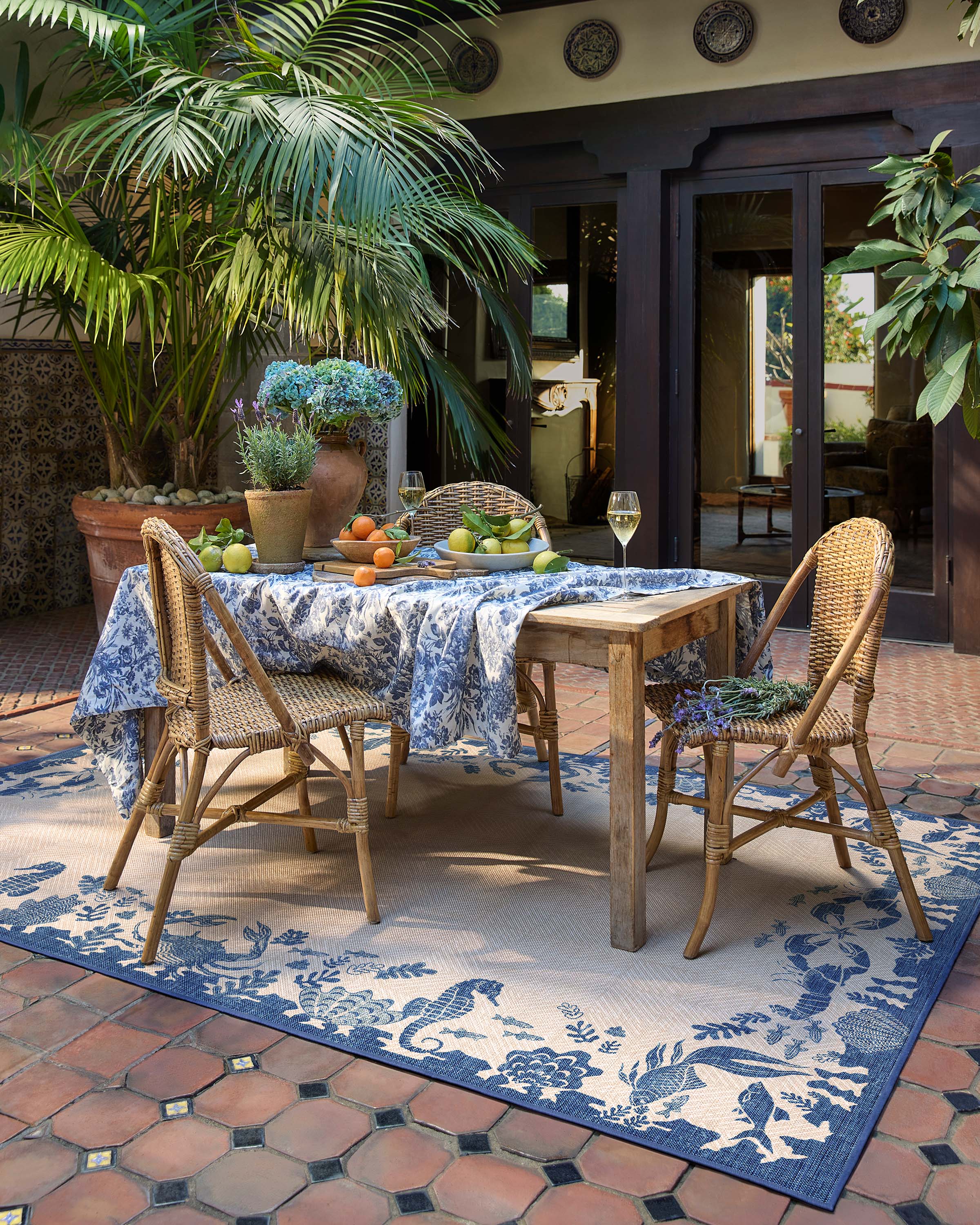 Ionia Sapphire & Natural Outdoor Rug