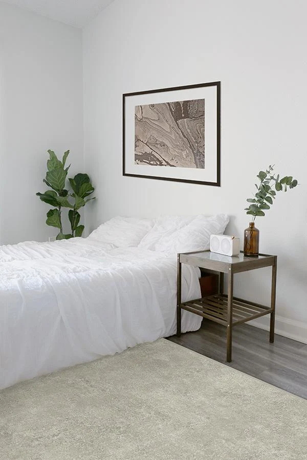 Serenata Ash Grey Rug