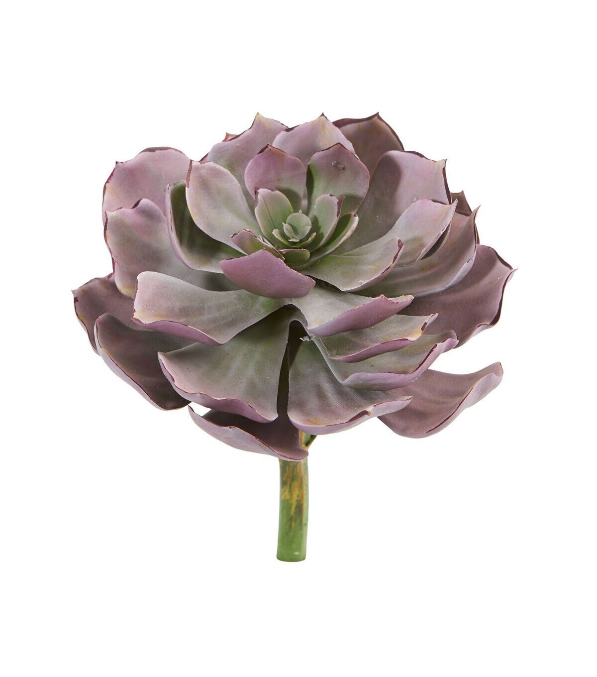 Nearly Natural 8 Echeveria Succulent Artificial Plant 6ct